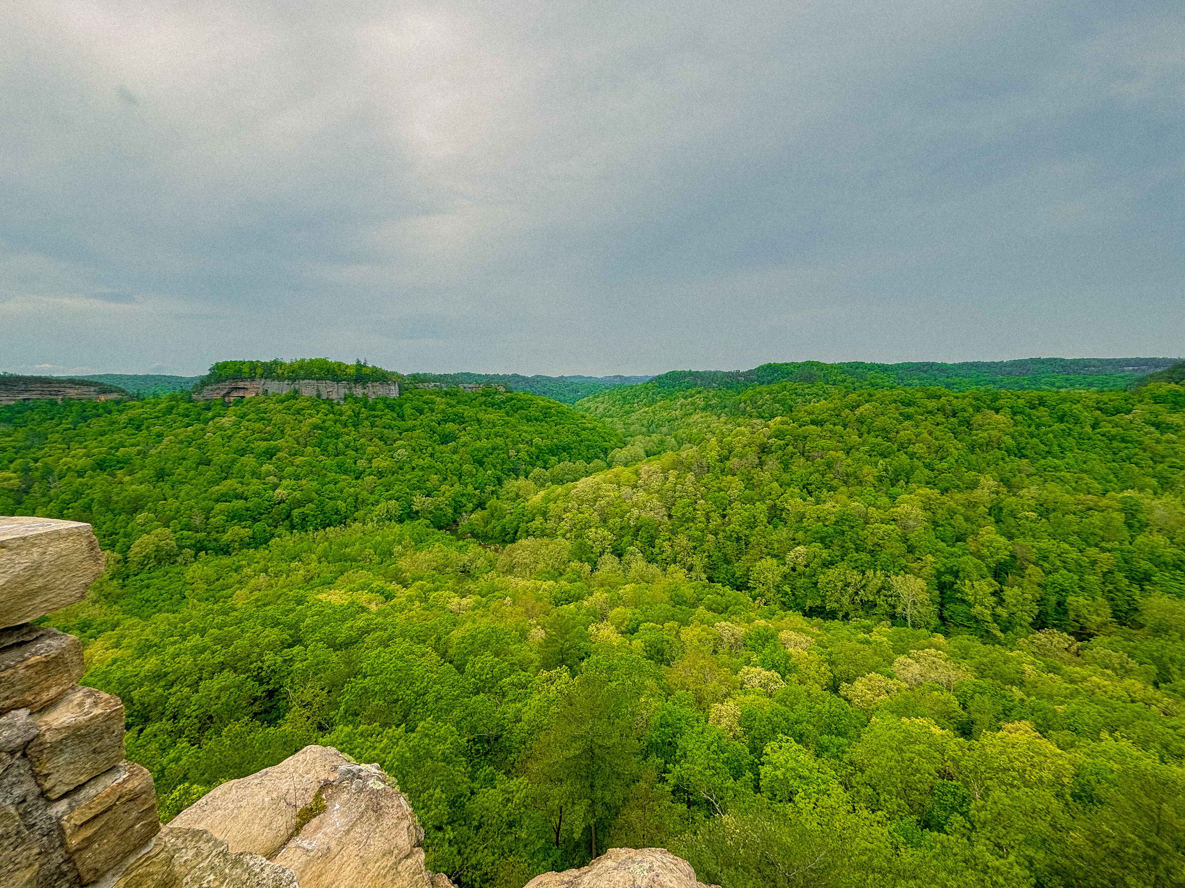 a lookout point in the red river gorge, kentucky 