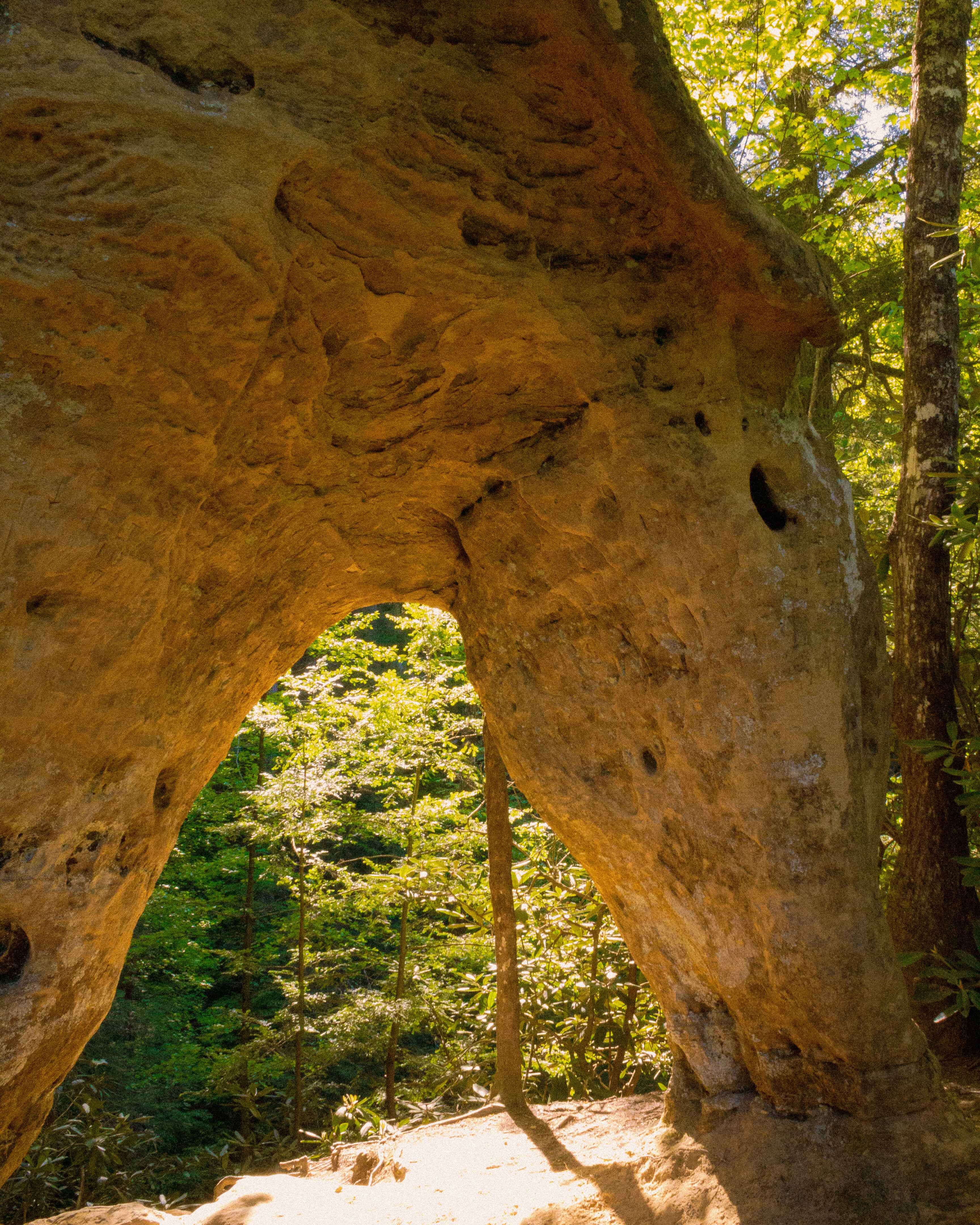 arch in the red river gorge, ky