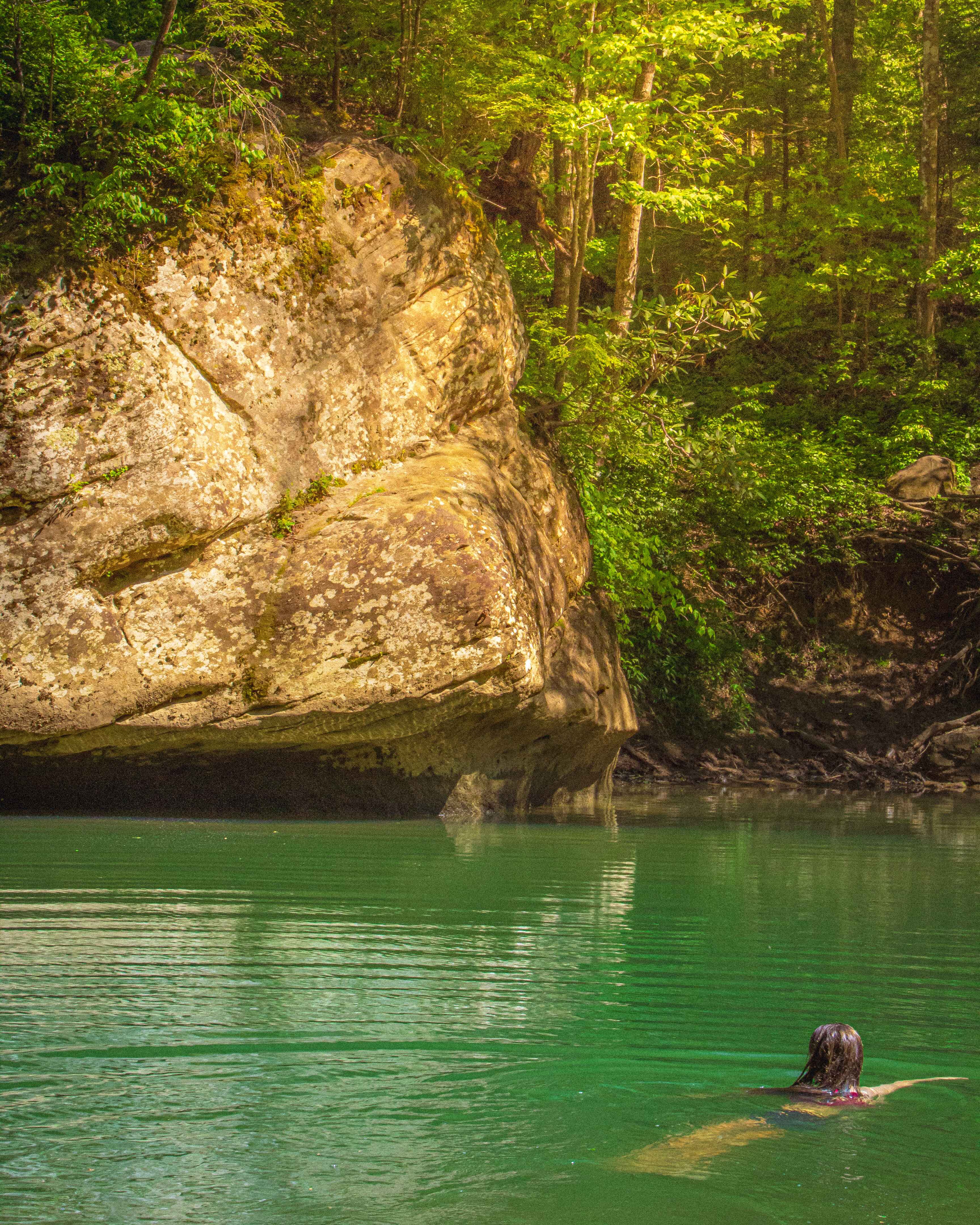 a hiker swims in the red river in the red river gorge