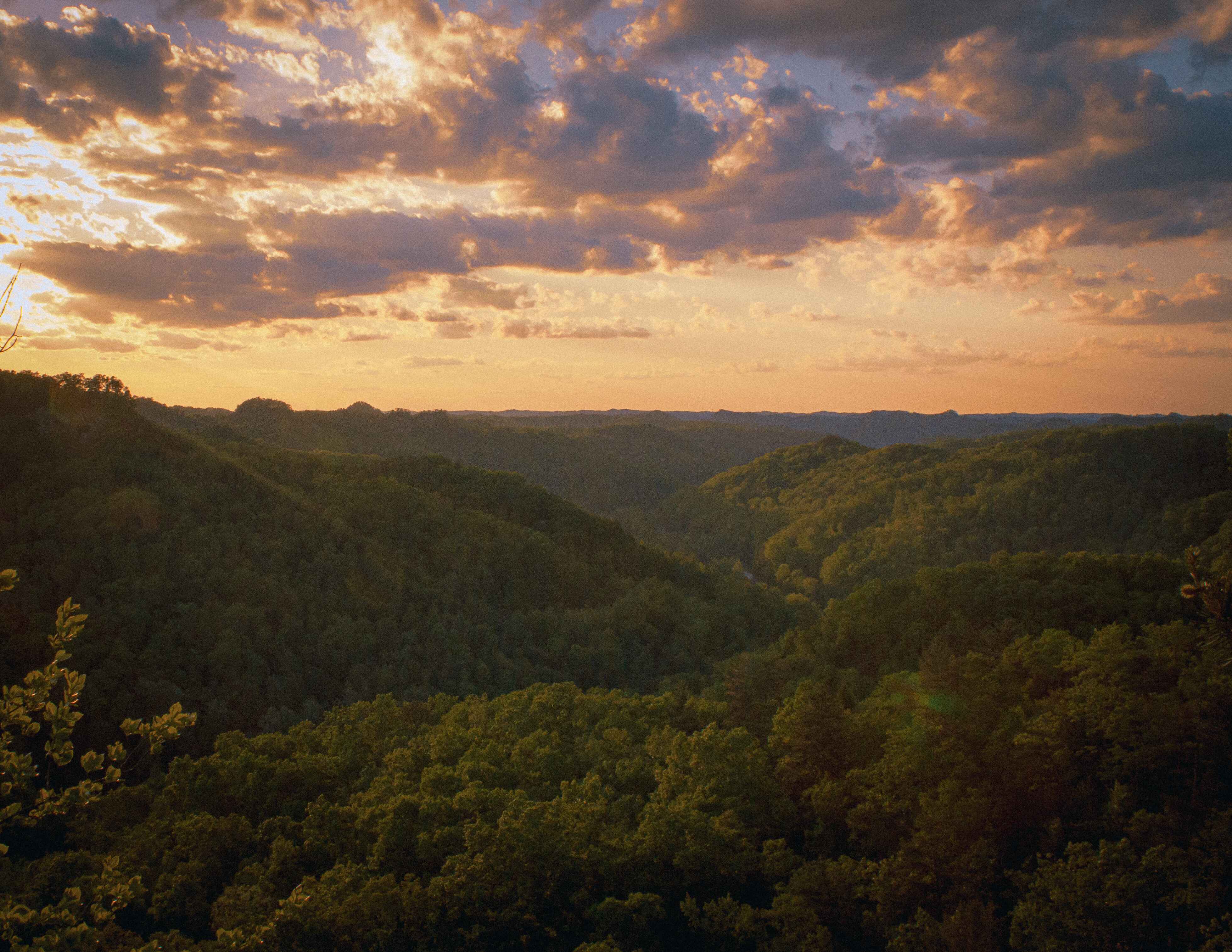 A view out from natural bridge state park