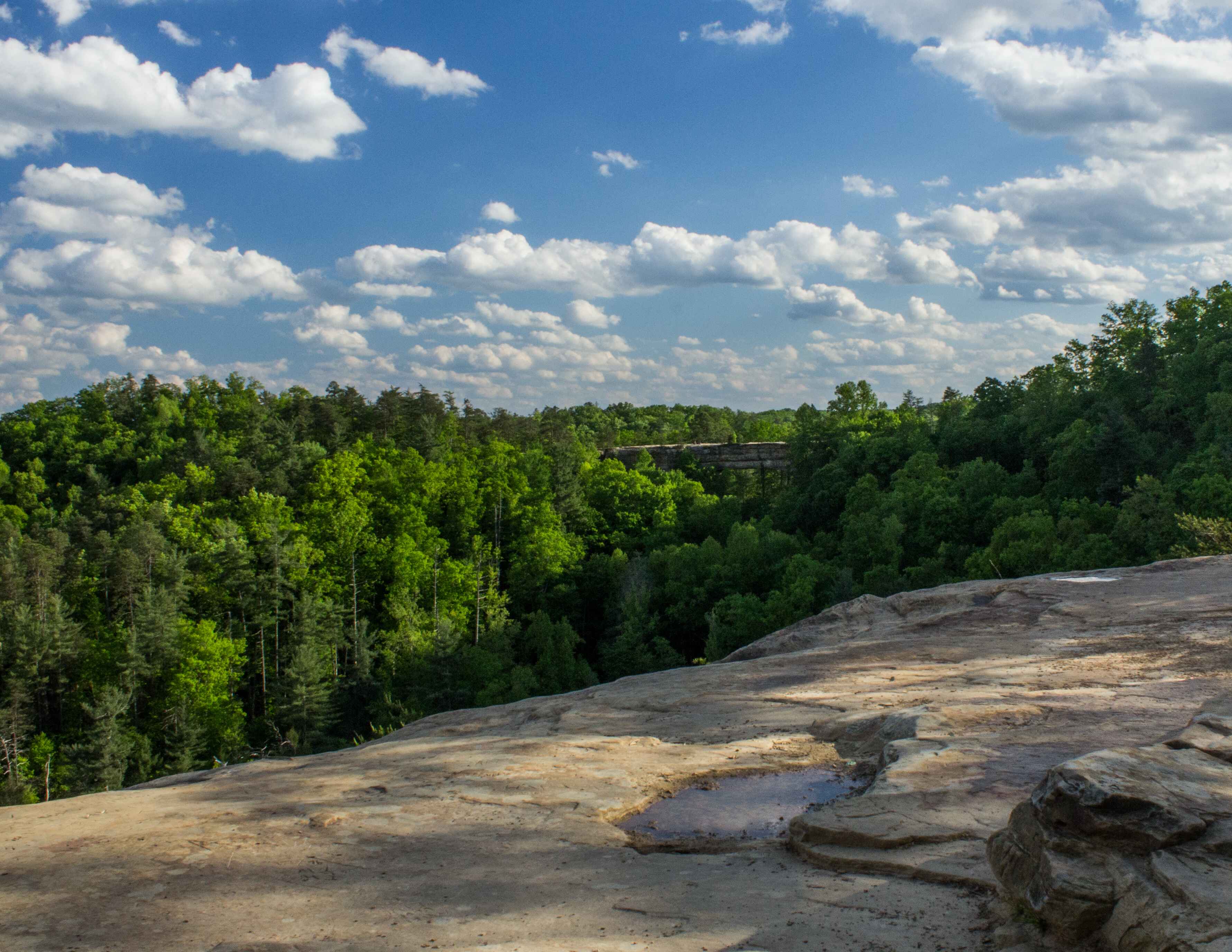 view from natural bridge state park