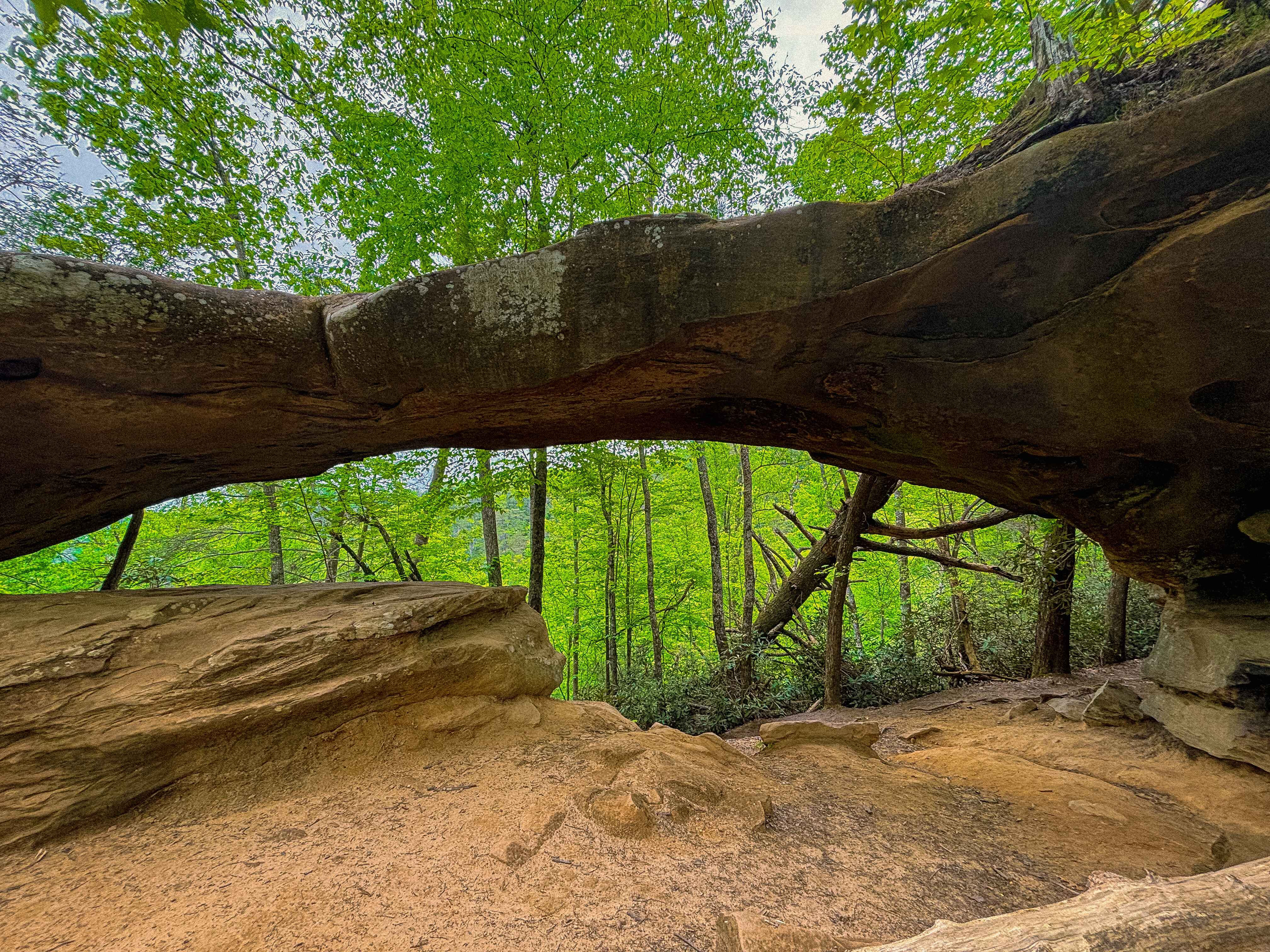 princess arch in the red river gorge