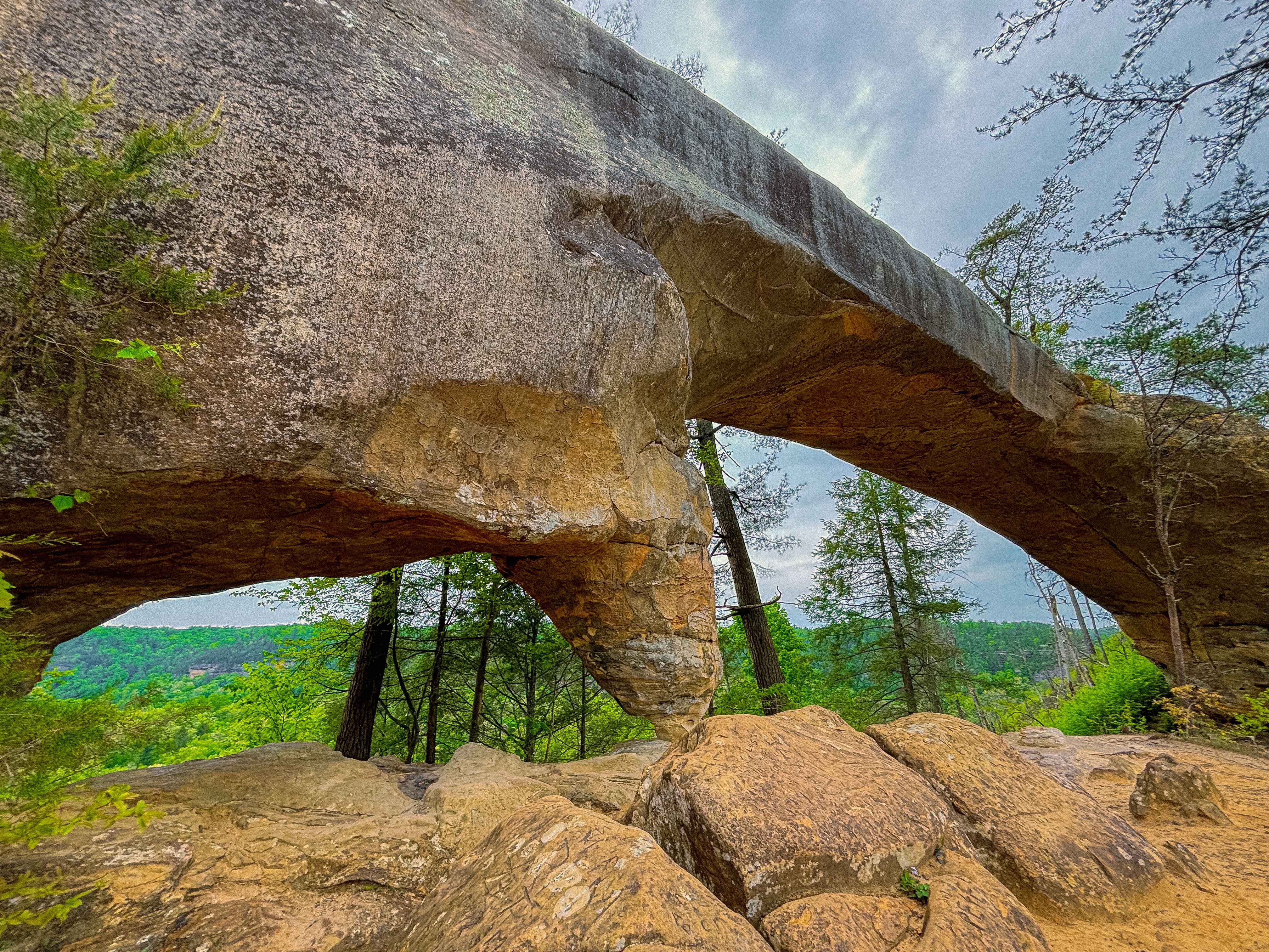 skybridge arch in the red river gorge