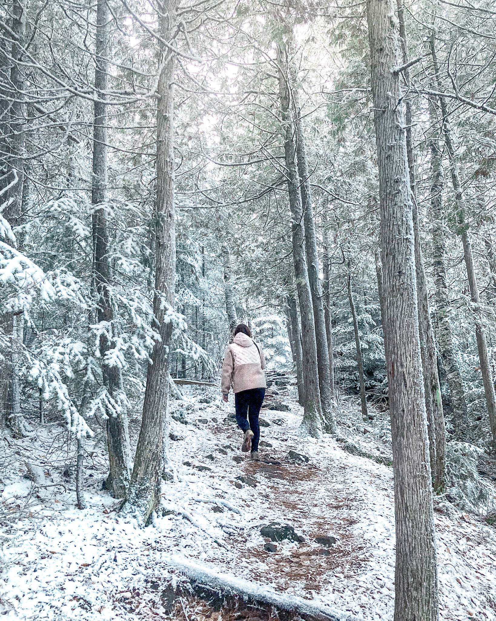 Hiking Honeymoon Blugg Grand Marais Winter