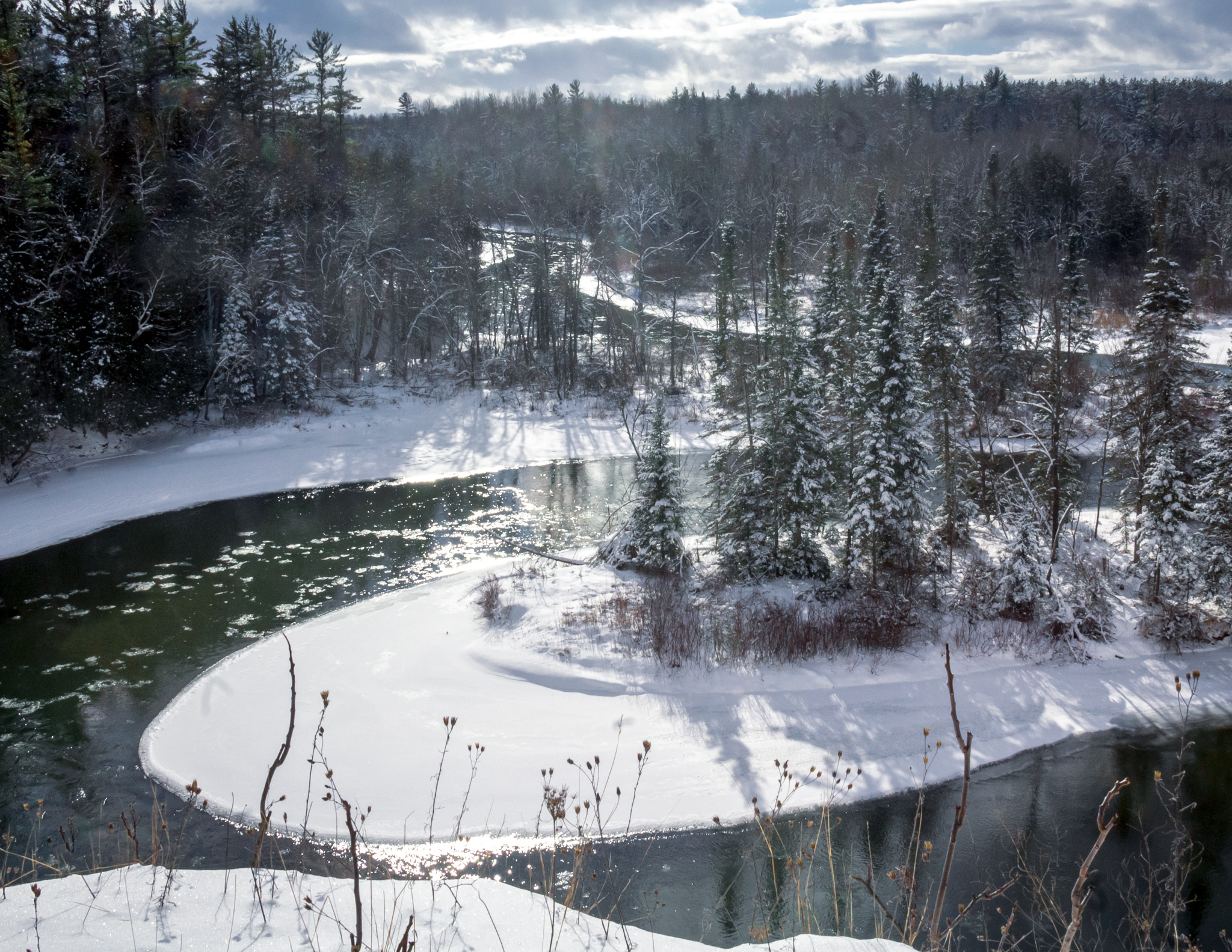 Manistee River Hike in the Winter, S-curves, white snow and hemlock trees with snow