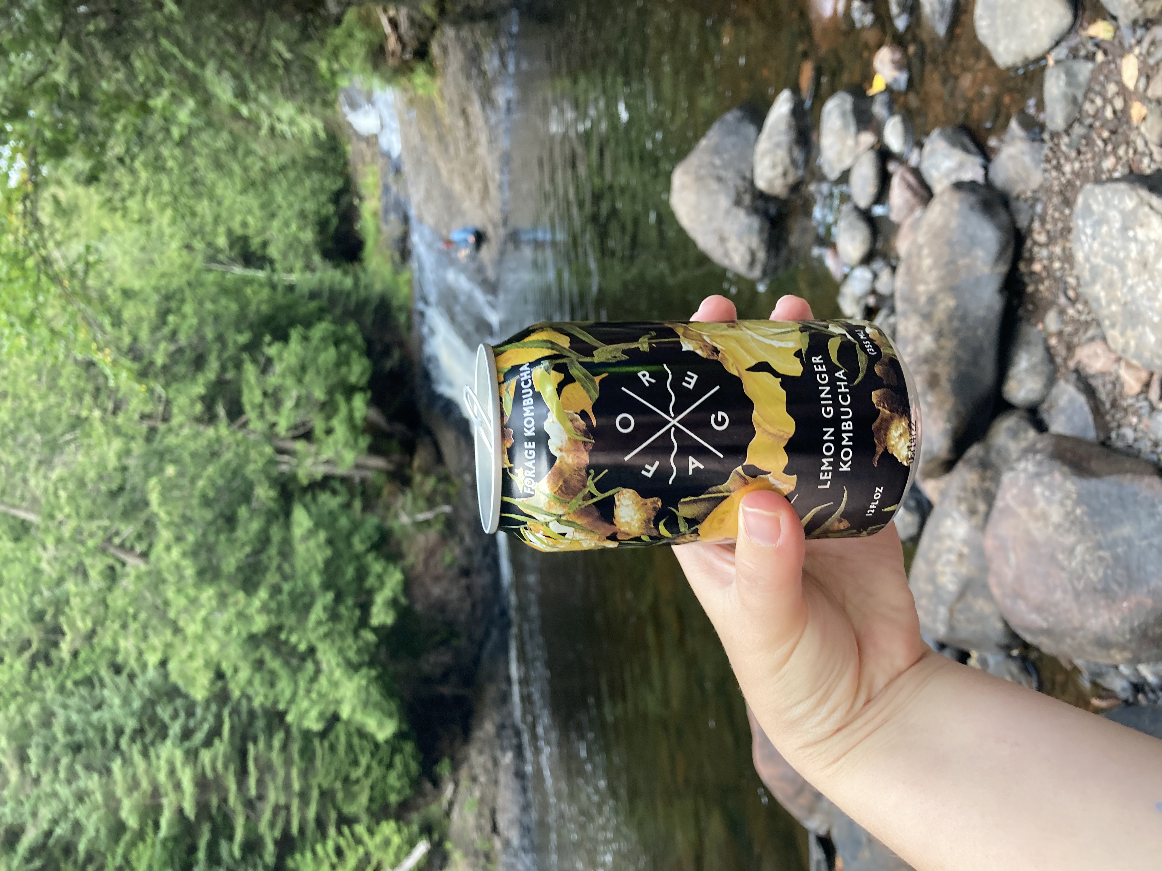 Image of Forage Kombucha in front of the hidden falls on the cascade river