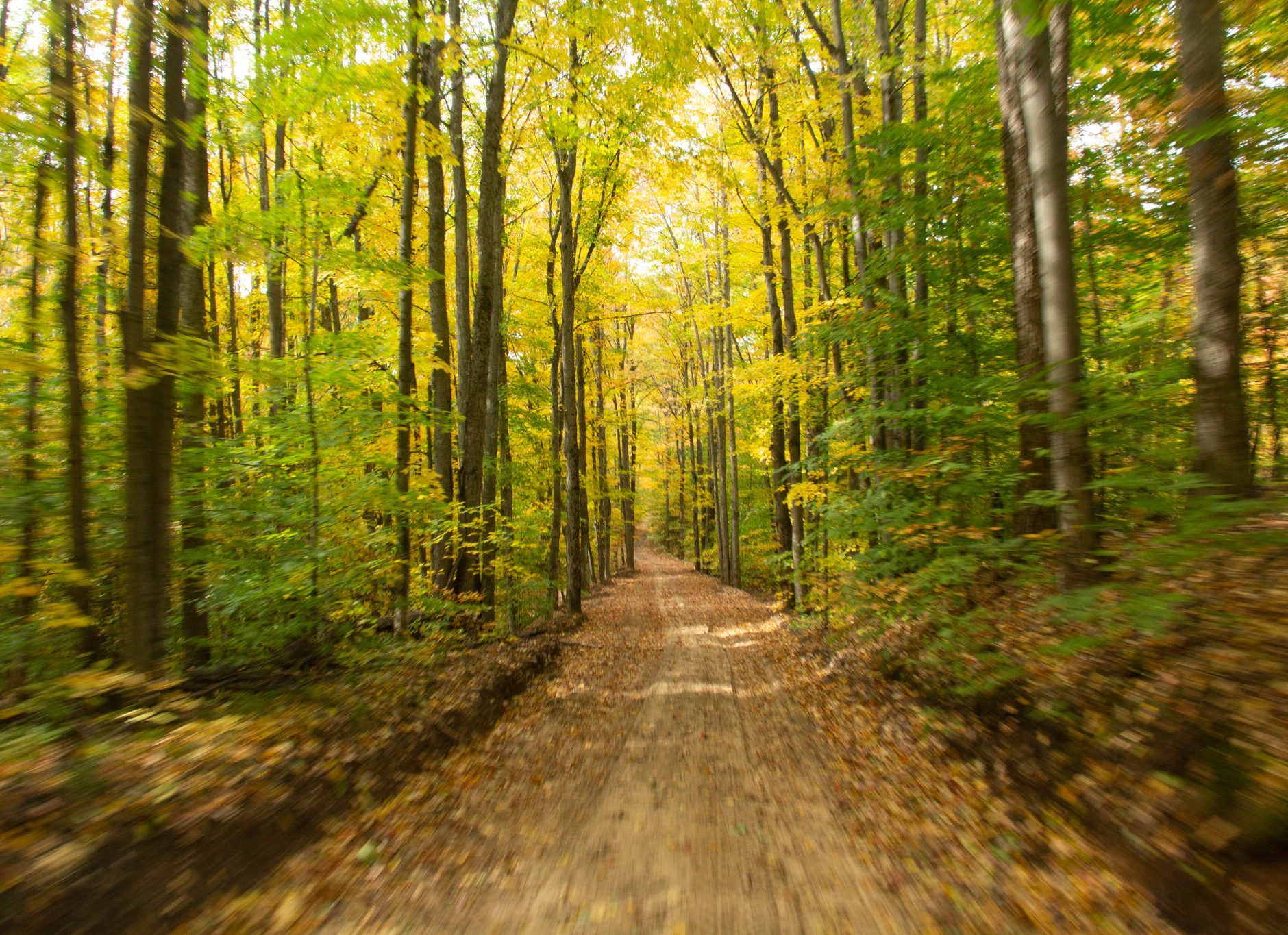 Fall Color on a backroad near Traverse City, in Northern Michigan
