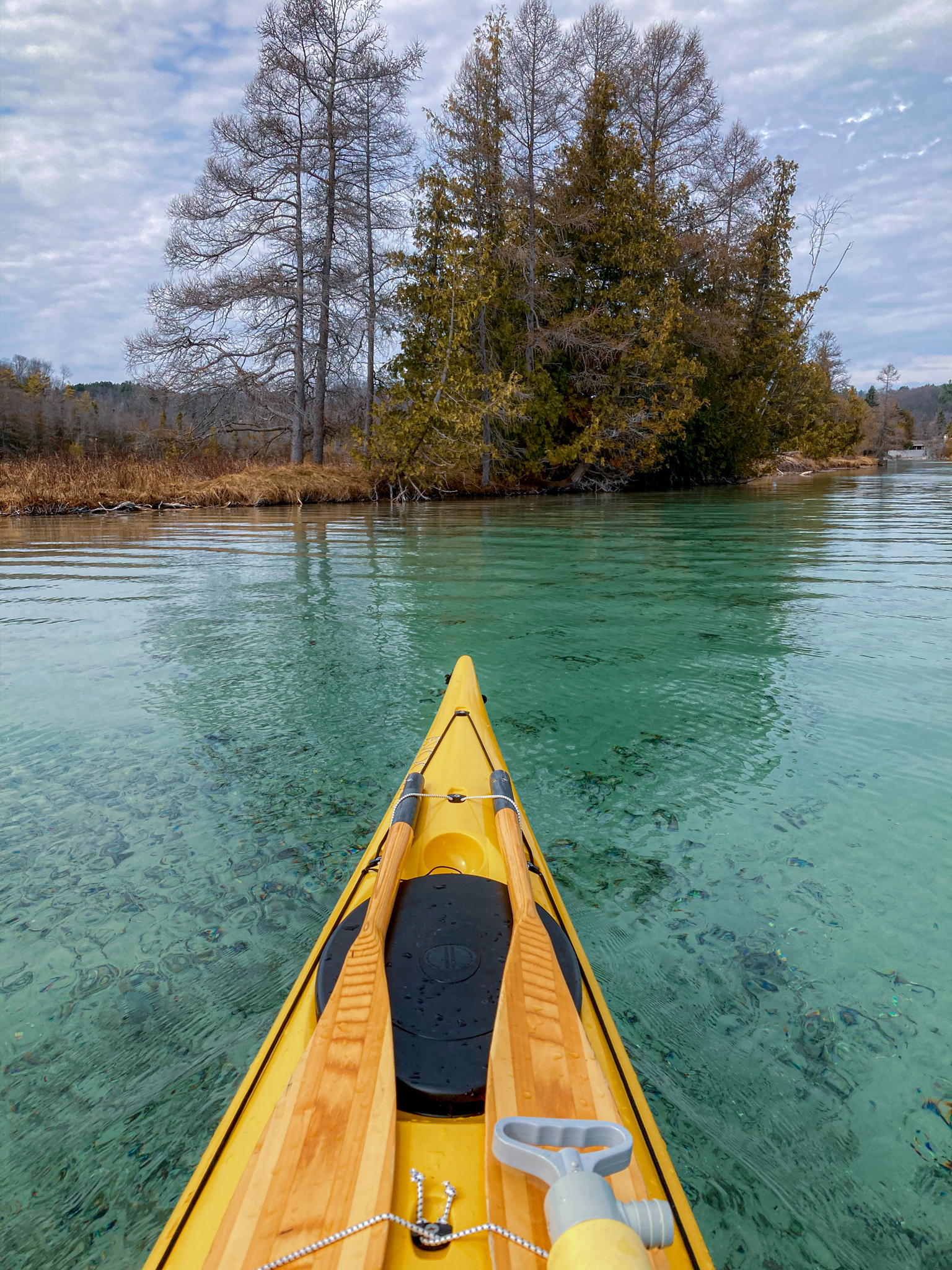 Kayaking the Torch River near Traverse City
