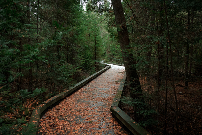 Hiking in Bellaire, Michigan in the winter