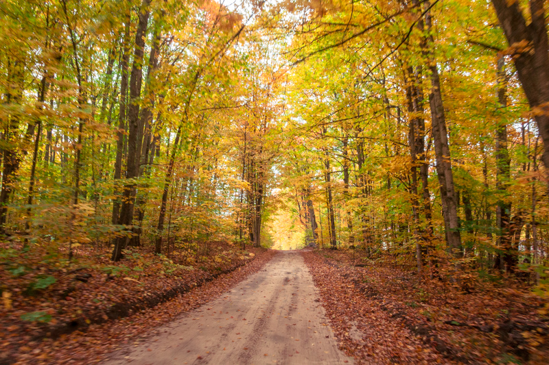 Fall color and Backroads near Bellaire, michigan