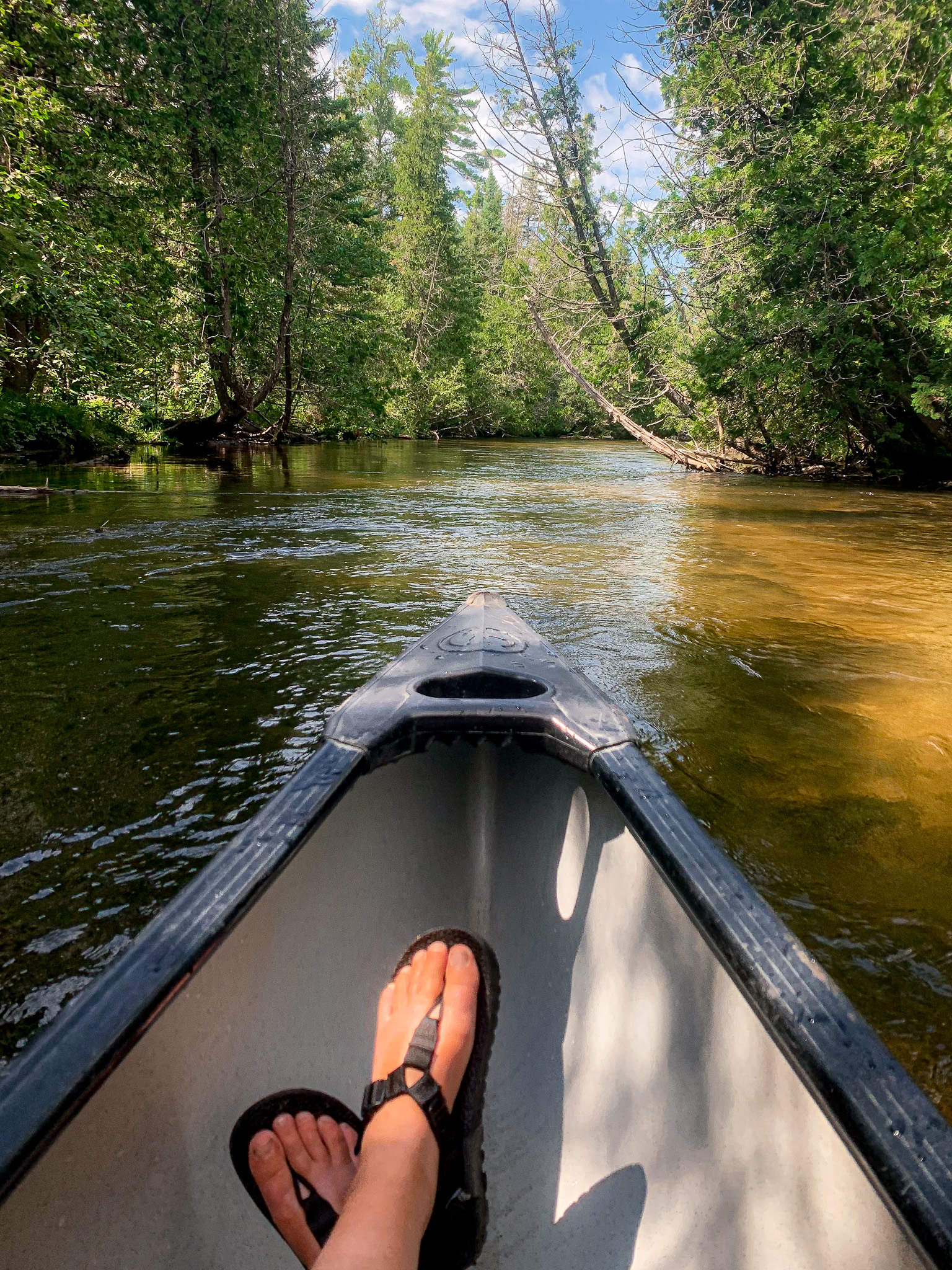 canoeing the jordan river near bellaire
