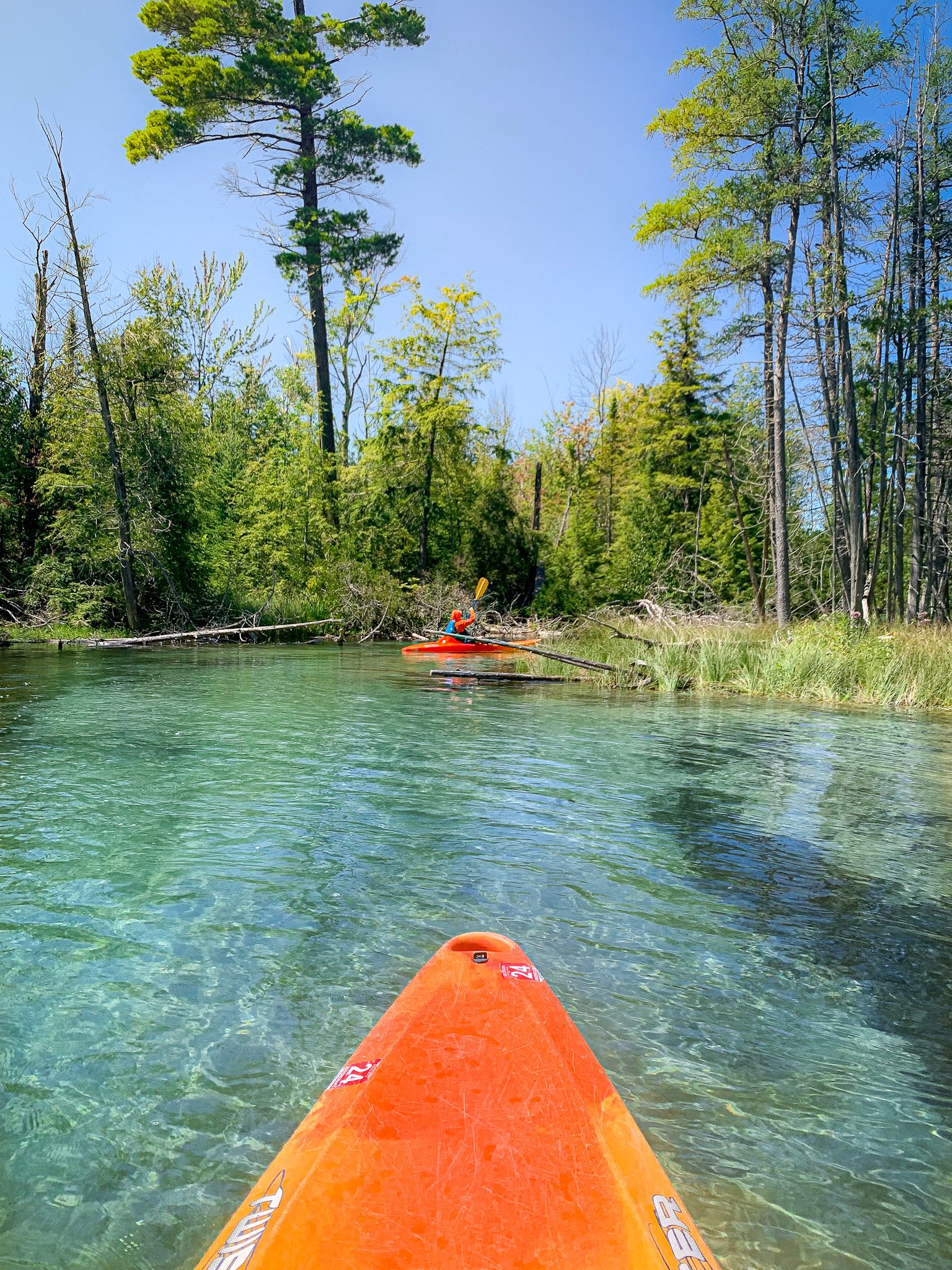 crystal river; beautiful place to kayak traverse city