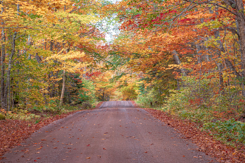 Fall Color on Heartbreak Hill near Tofte MN