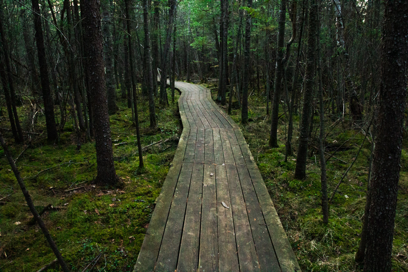 Hiking the Grass River Natural Area