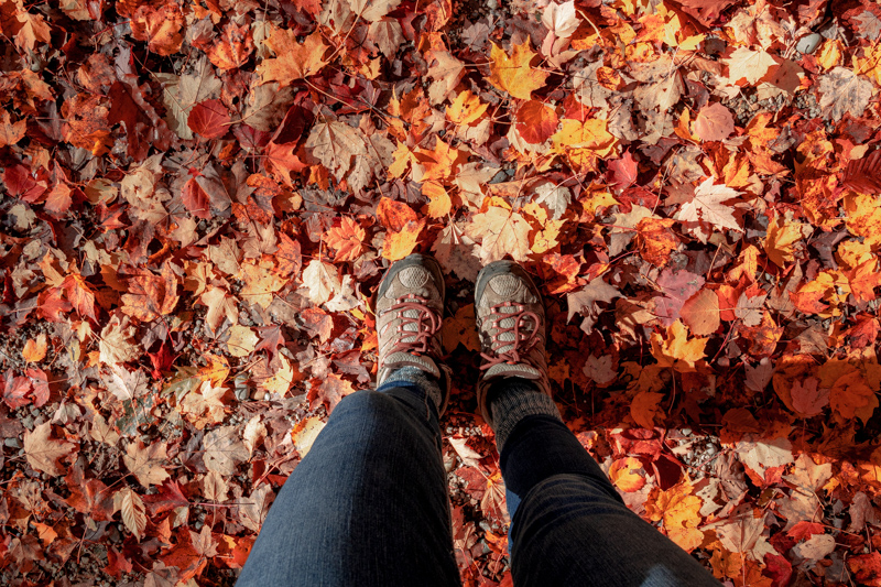 Hiking the Jordan River Pathway near Bellaire, Michigan