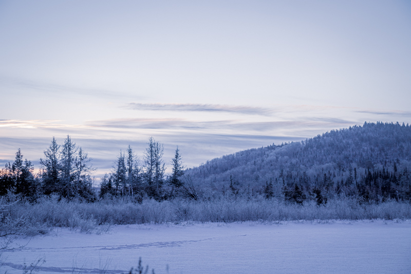 Frost on the Gunflint Trail