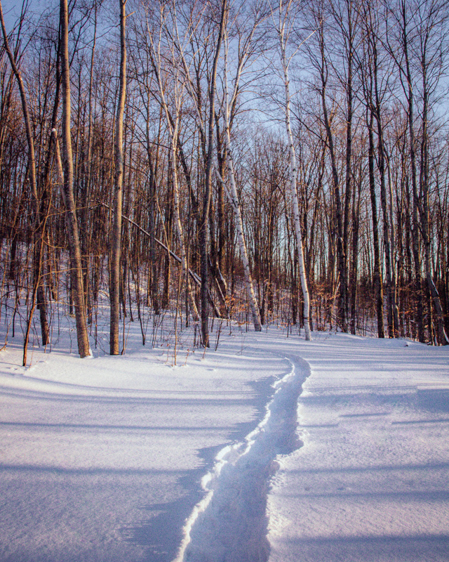 Snowshoe Bellaire Michigan