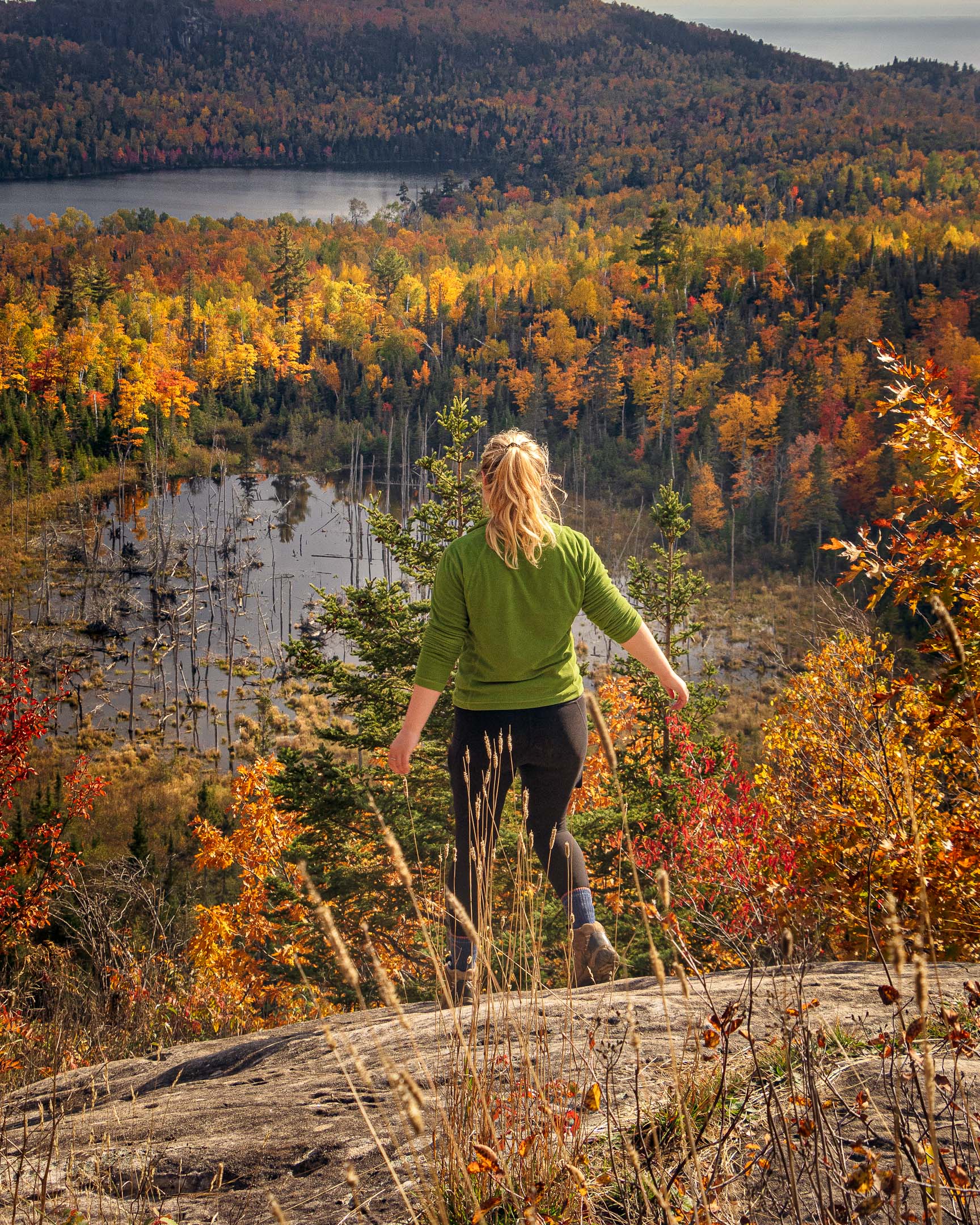 hiker on one of the most beautiful trails for fall color on the north shore,mn