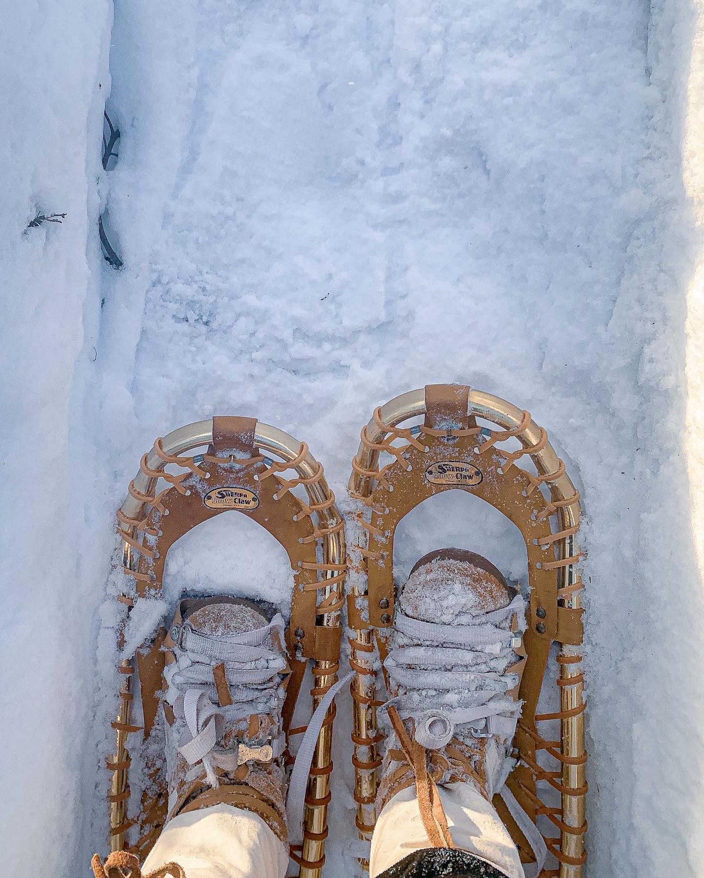 Snowshoeing in Northern Minnesota