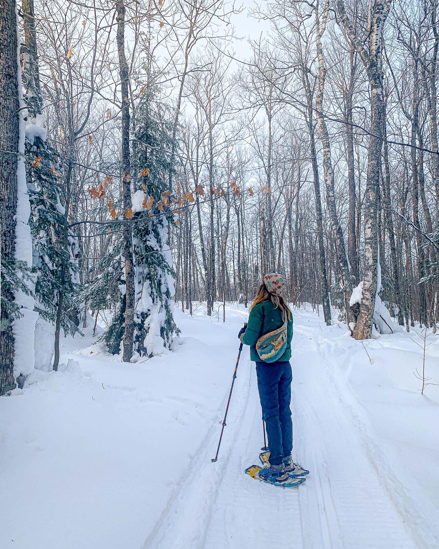 Where to Snowshoe and what to do in the winter on the north shore of Minnesota