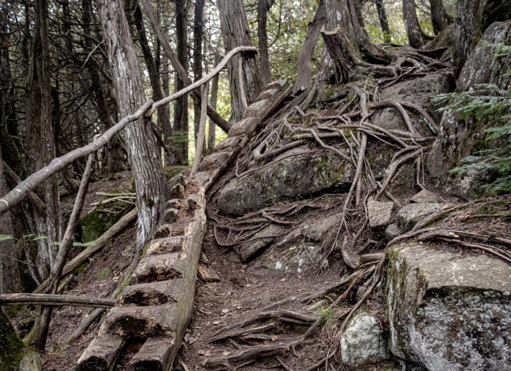 image of the superior hiking trail near grand marais, mn