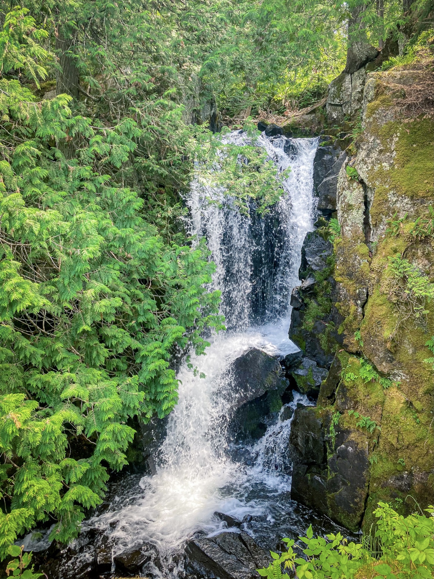 Rose Falls in the BWCA