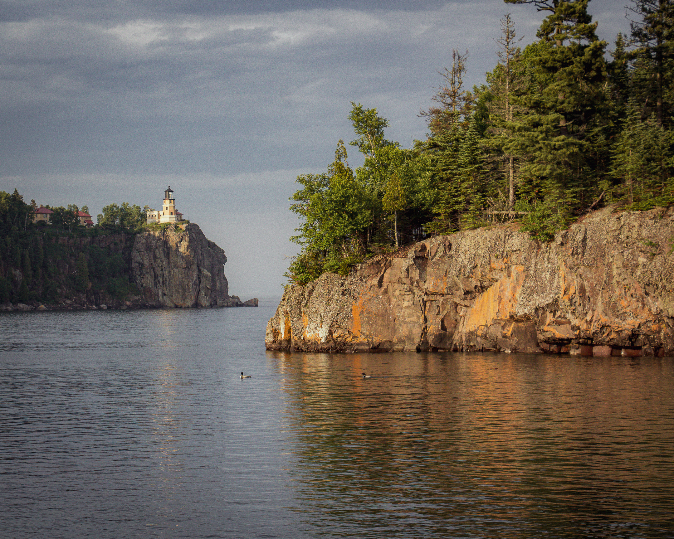 Loons in front of Split Rock Lighthouse on the north shore of Minnesota