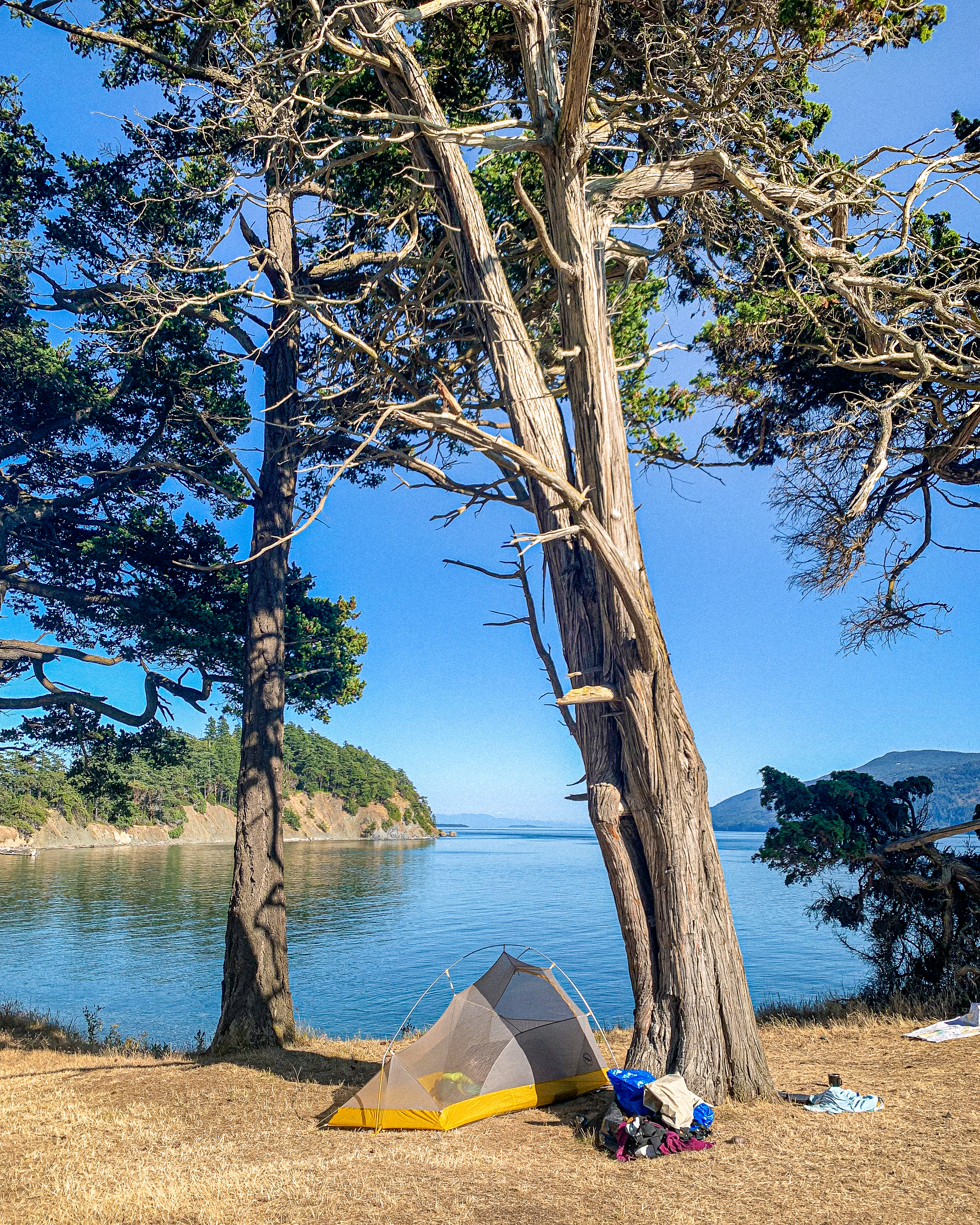 A tent set up on Sucia Island on a San Juan Islands Kayak Trip