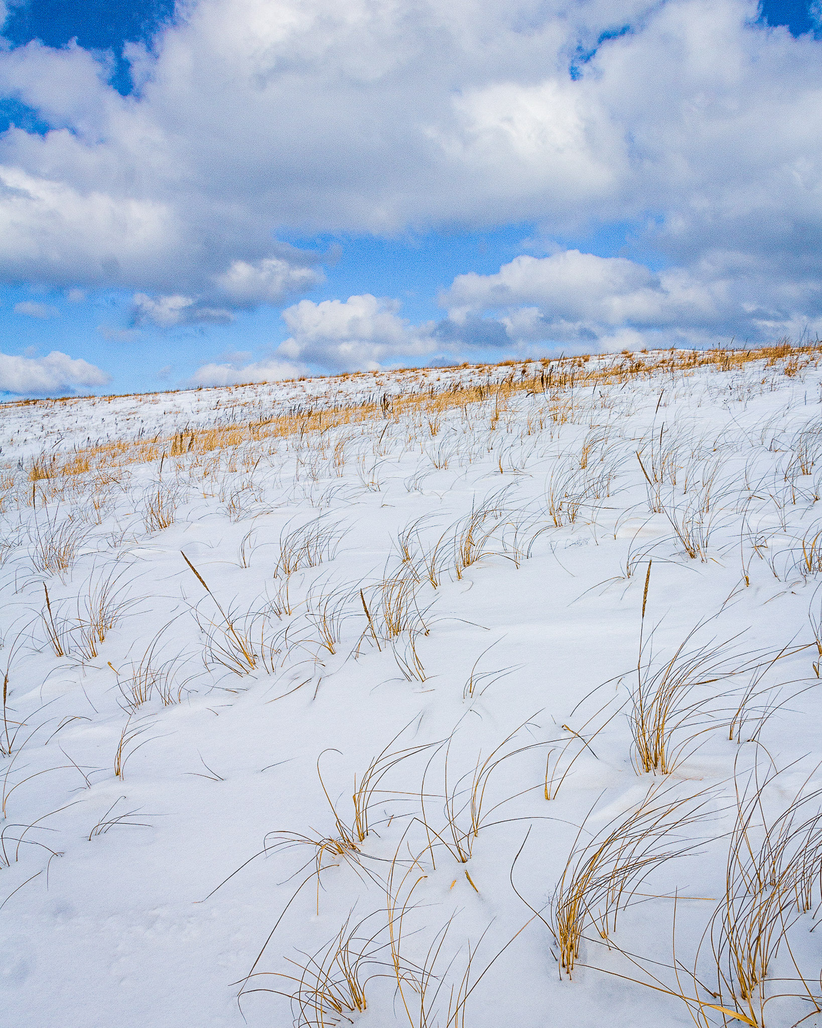Image of the Sleeping Bear Dunes Dune Climb in the winter