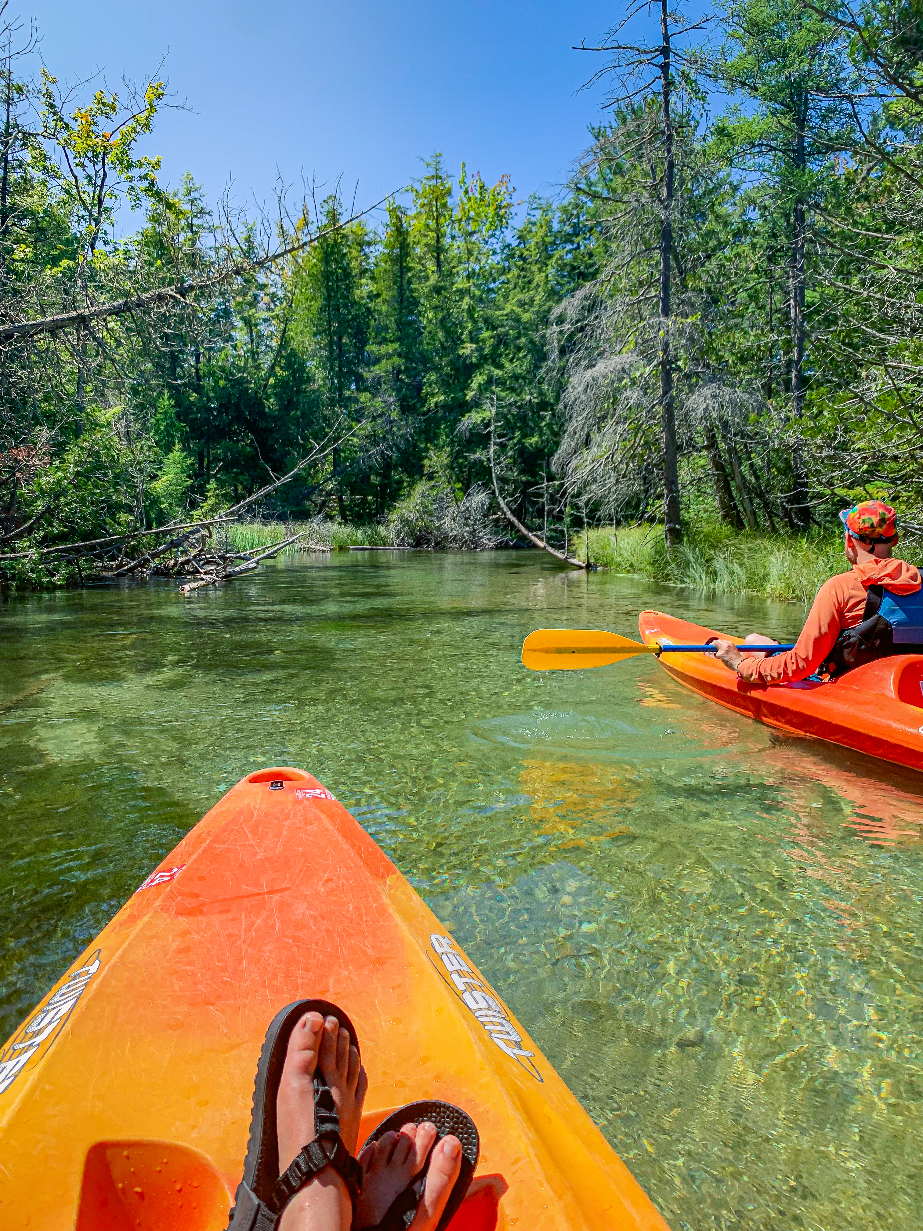 image of kayaking the crystal xclear crystal river