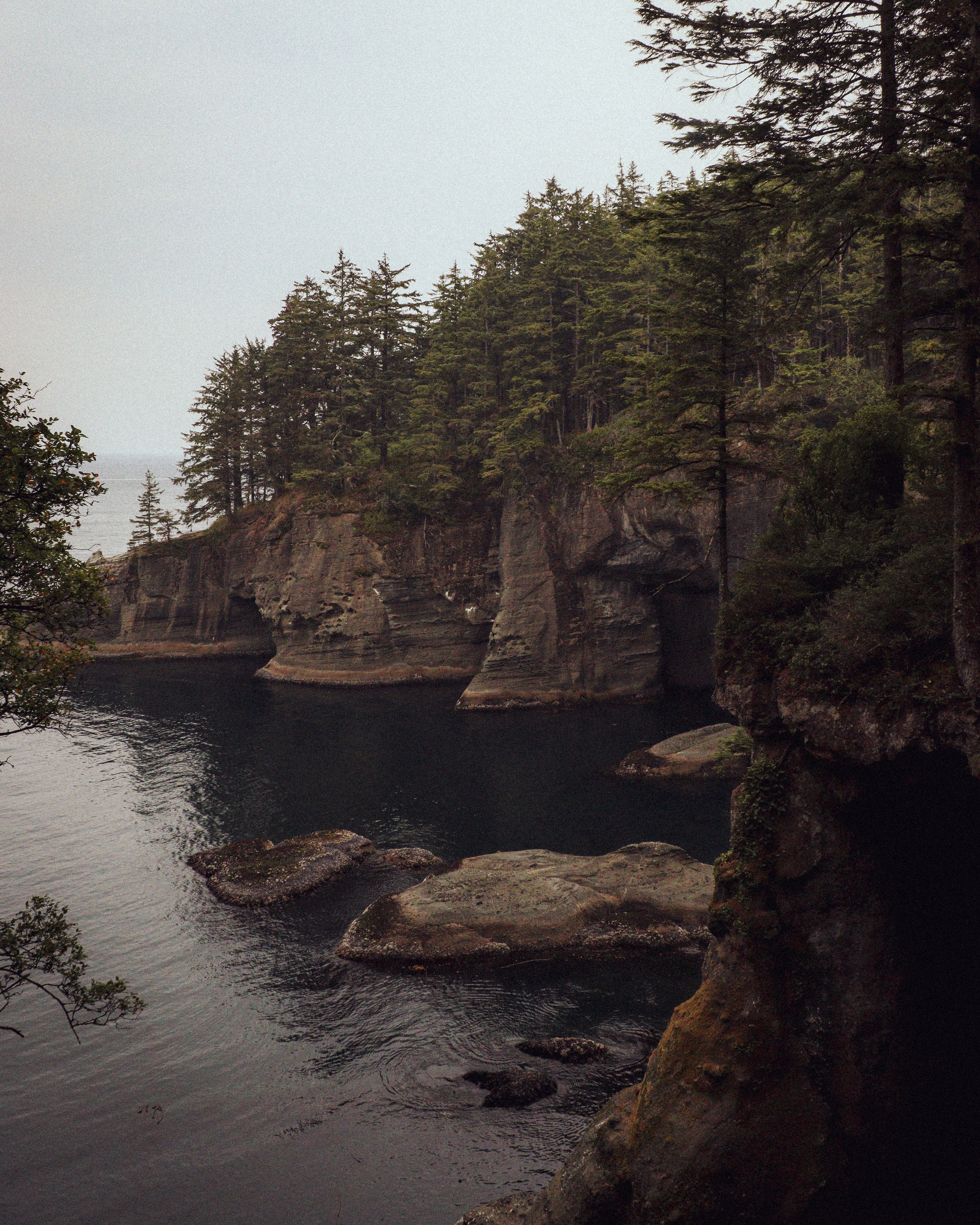 A calm day at Cape Flattery on the Olympic Peninsula, with cliffs, caves, and pine trees