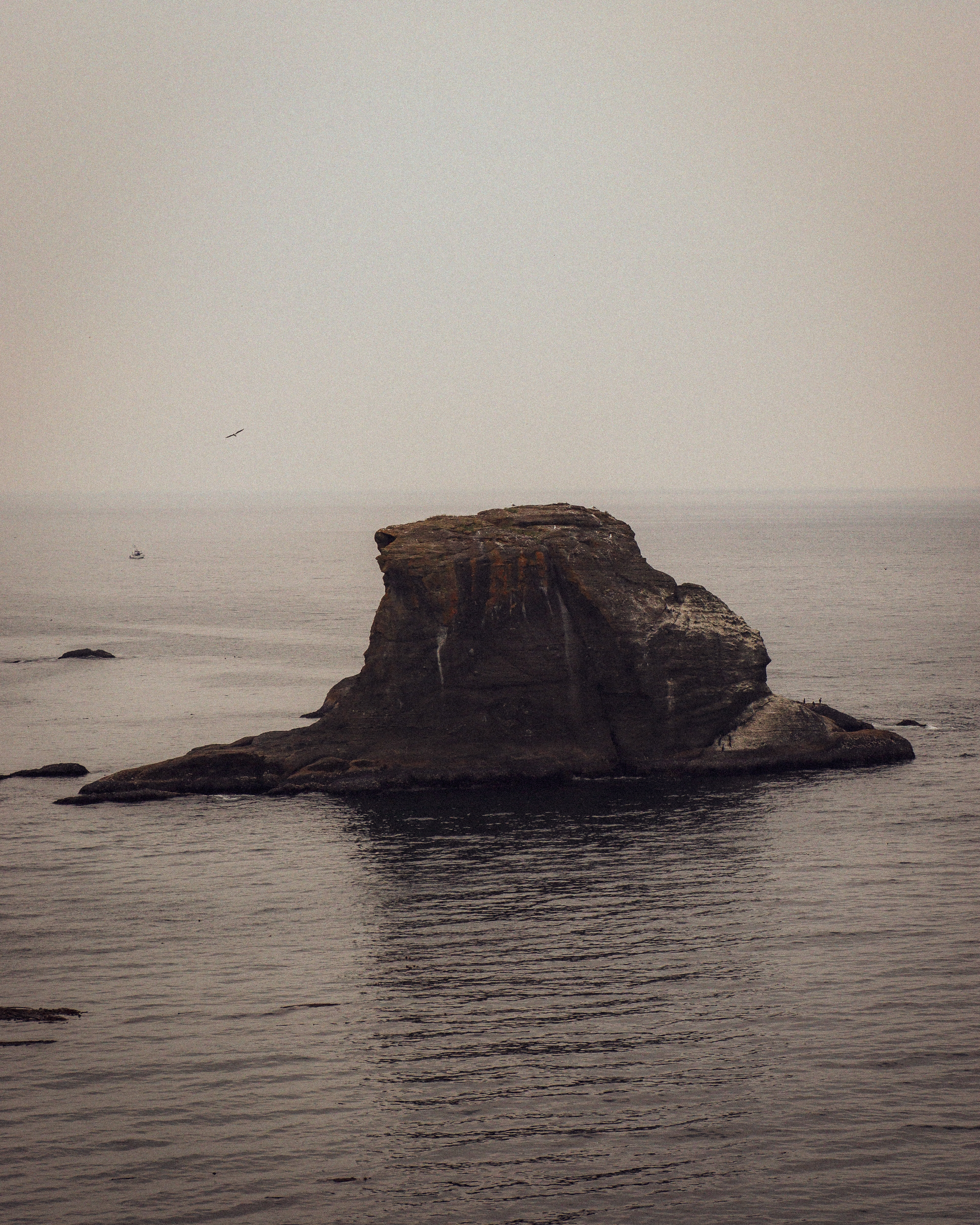 A lone sea stack off the coast of the Olympic Peninsula at Cape Flattery