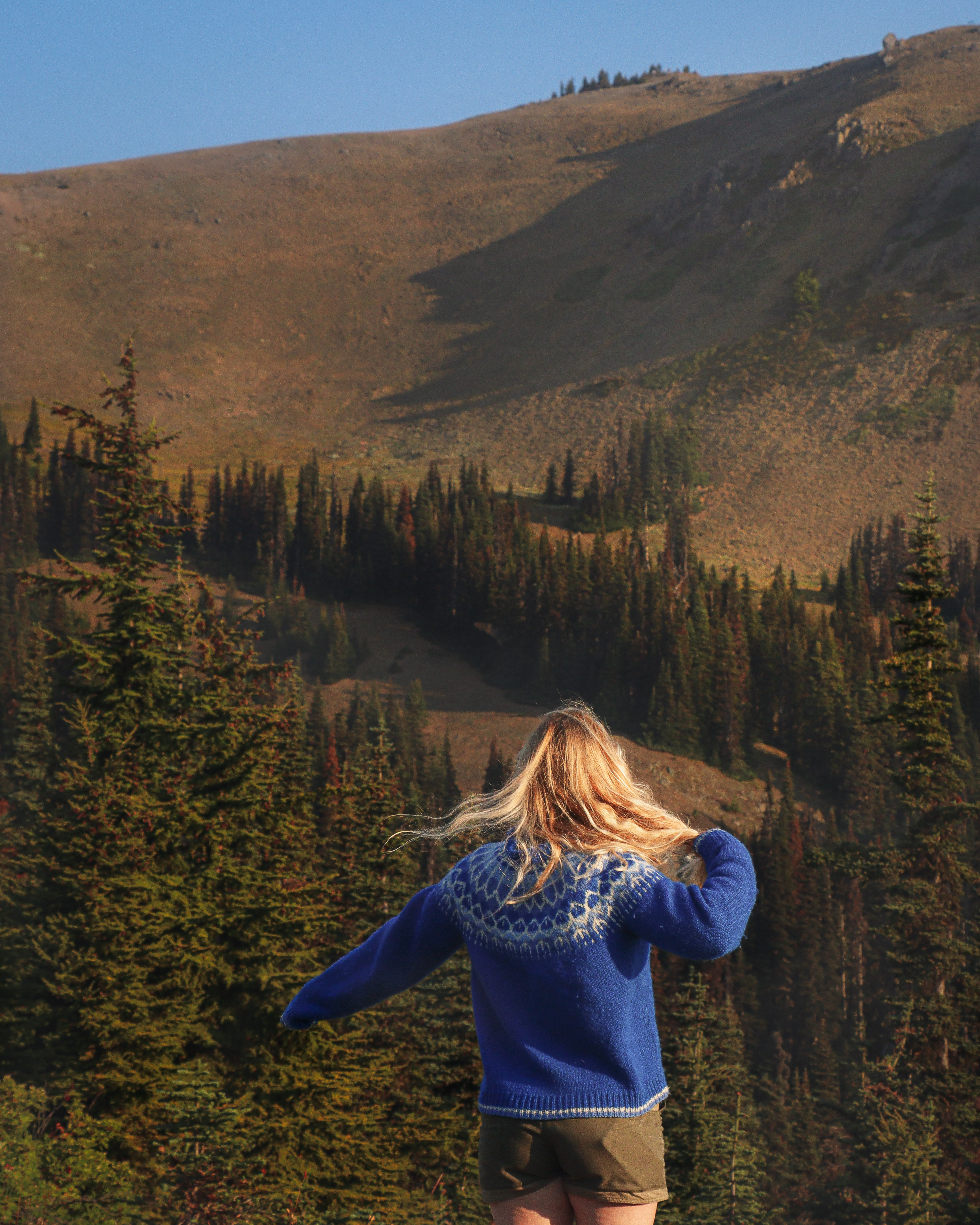 A hiker on Hurricane Ridge in Olympic National Park