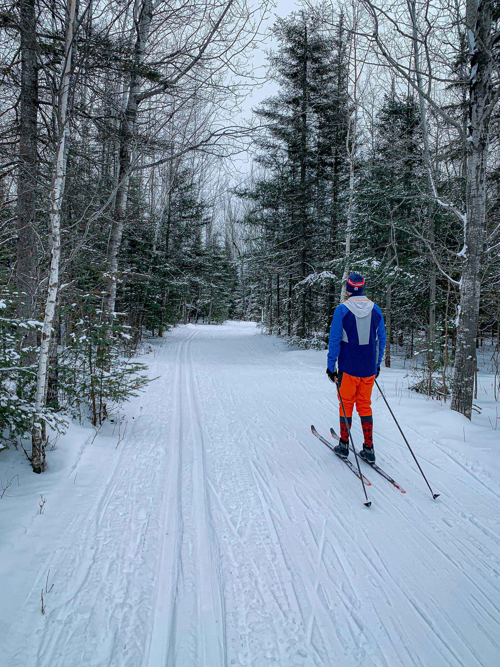 A cross country skiier in the woods