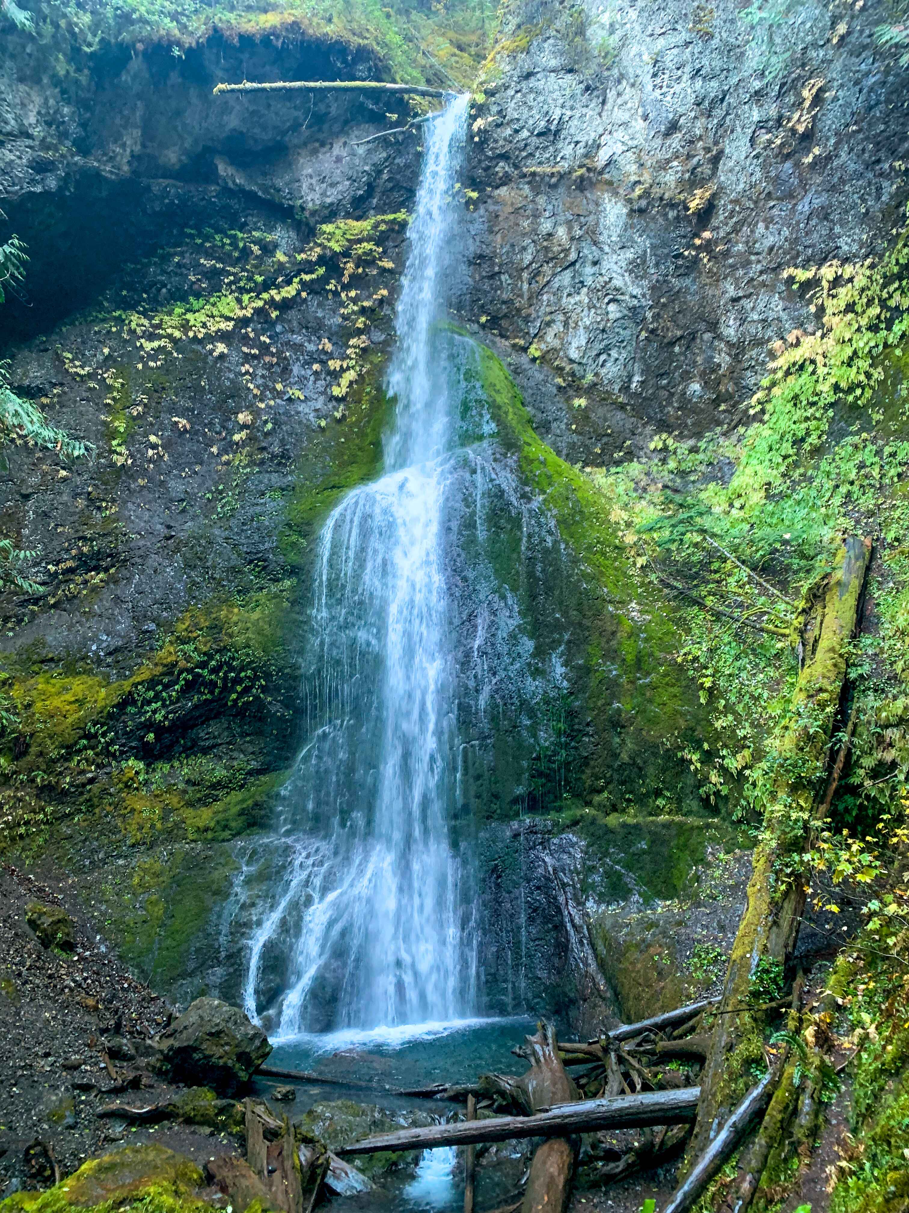 Marymere Falls, a must-stop on a short weekend Olympic National Park road rip
