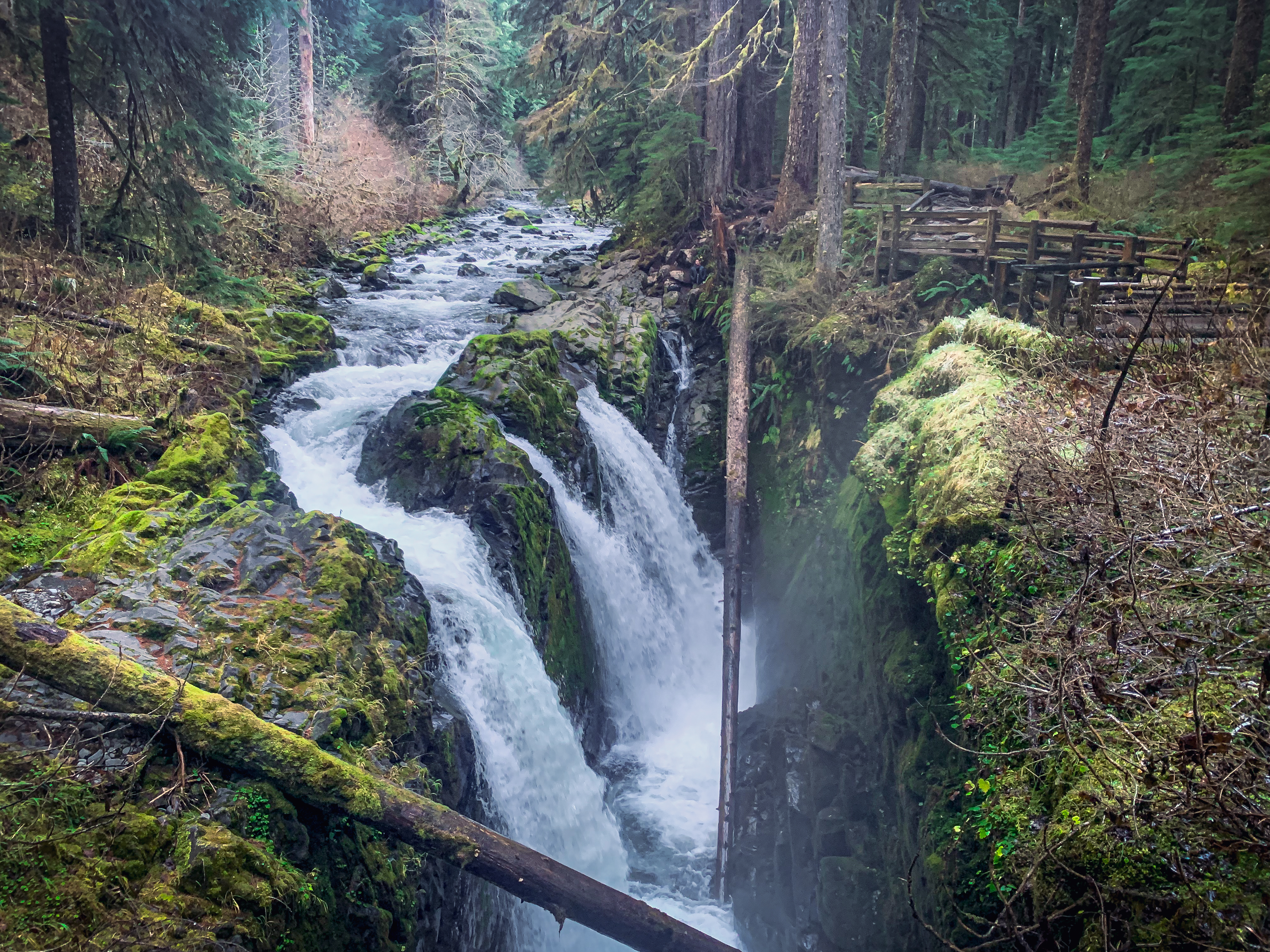 Sol Duc Falls in Olympic National Park