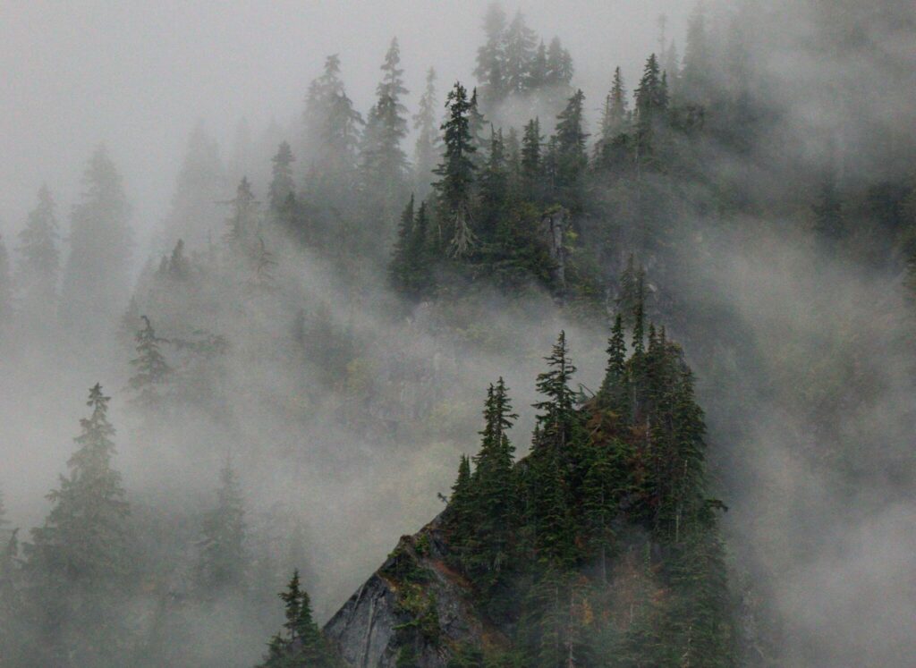 Fall hiking in the fog Washington Mountains