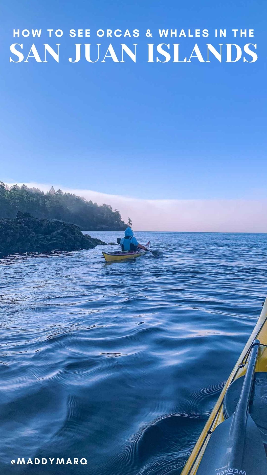 where to see orcas san juan islands image of kayakers