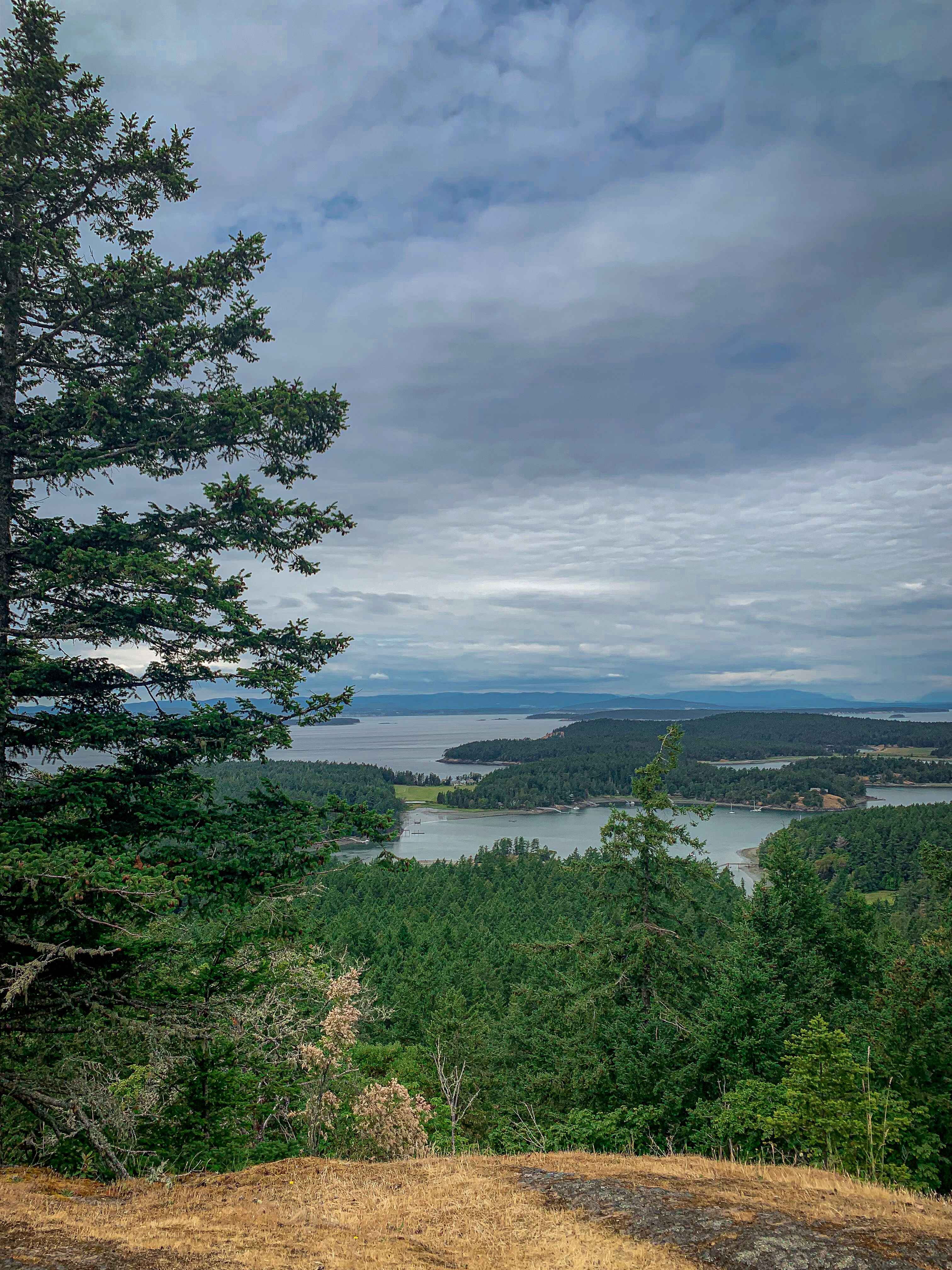 young hill, easy day hike san juan islands