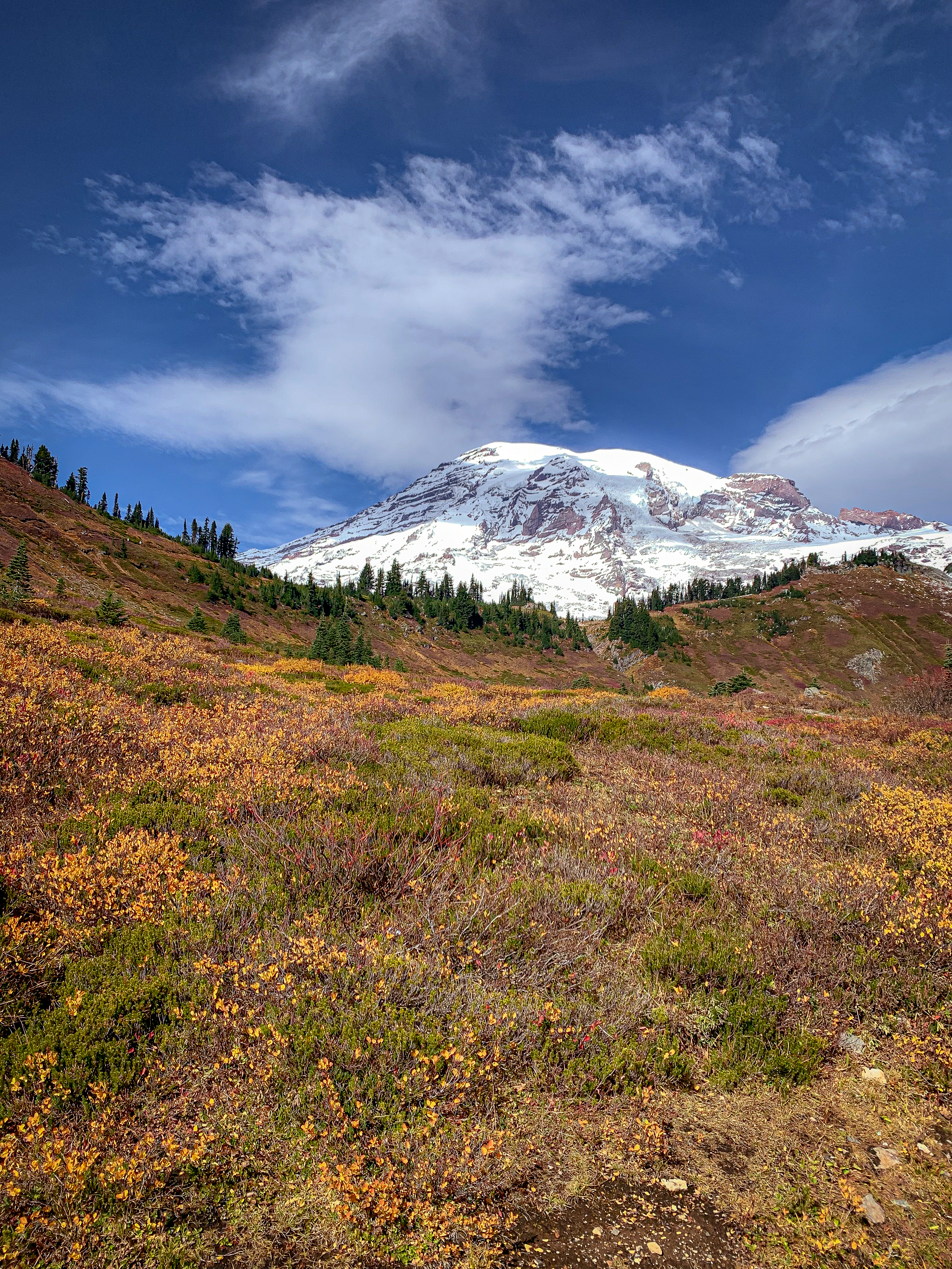 Mt Rainier National Park in the fall