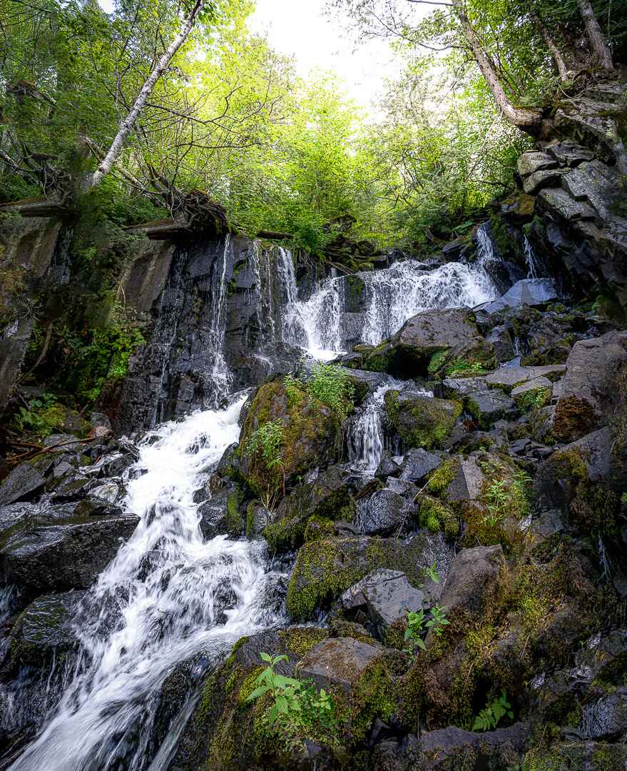 image of a hiking trail in northern minnesota