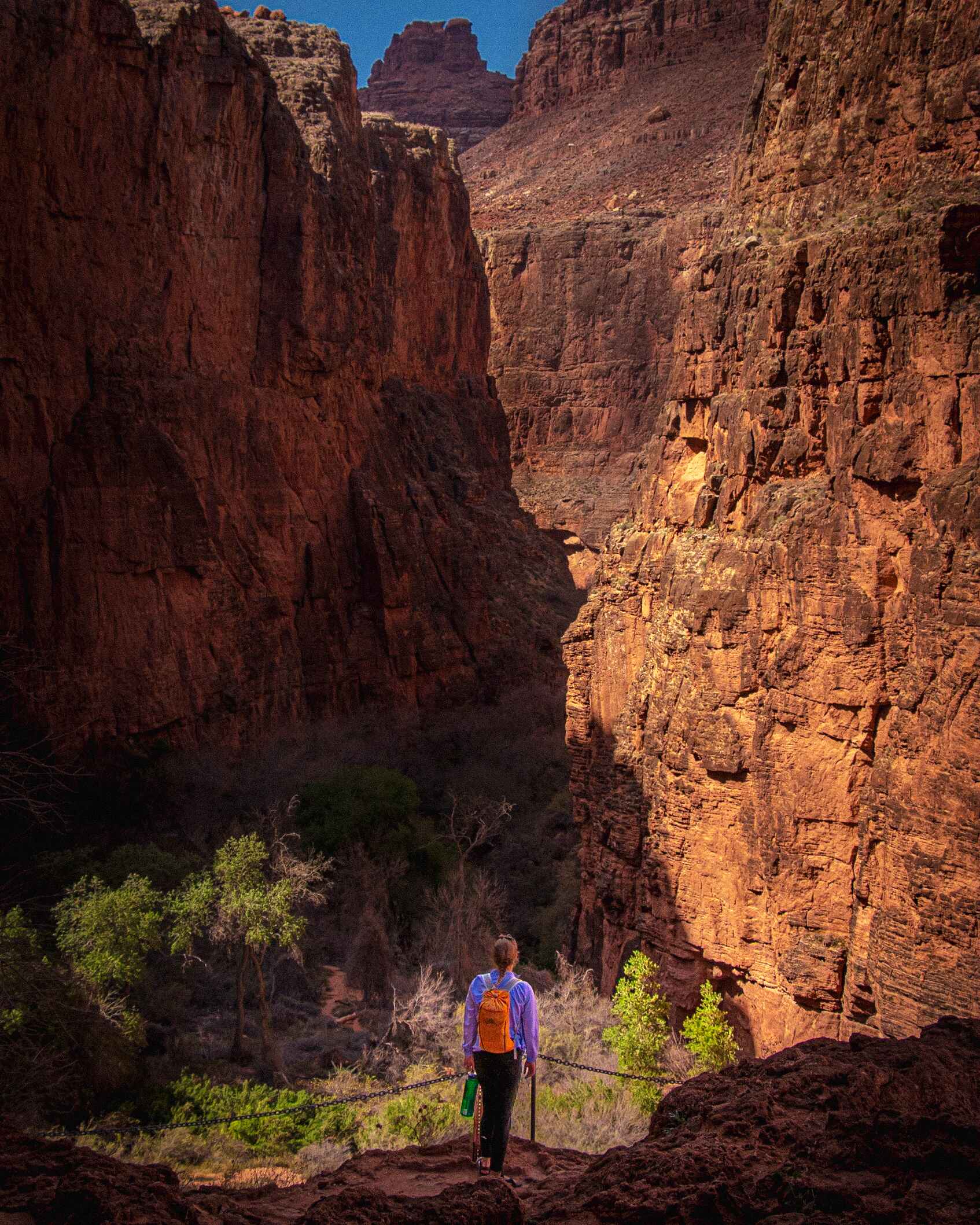 A hikers stands at the edge of the Grand Canyon on the Havasu Falls Trail