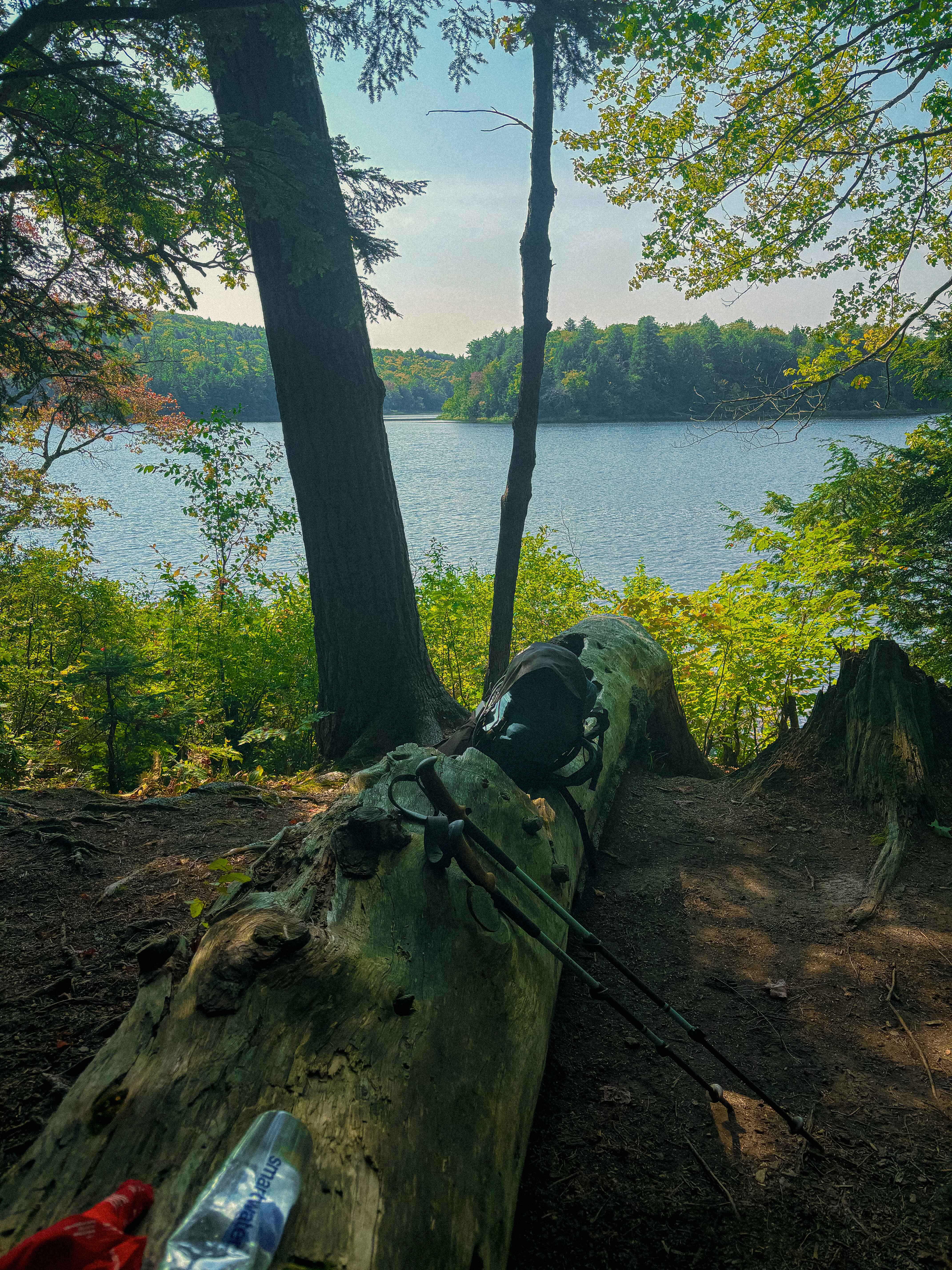 Backpacking and hiking gear spread out on a log in the Porcupine Mountains Wilderness State Park, Michigan