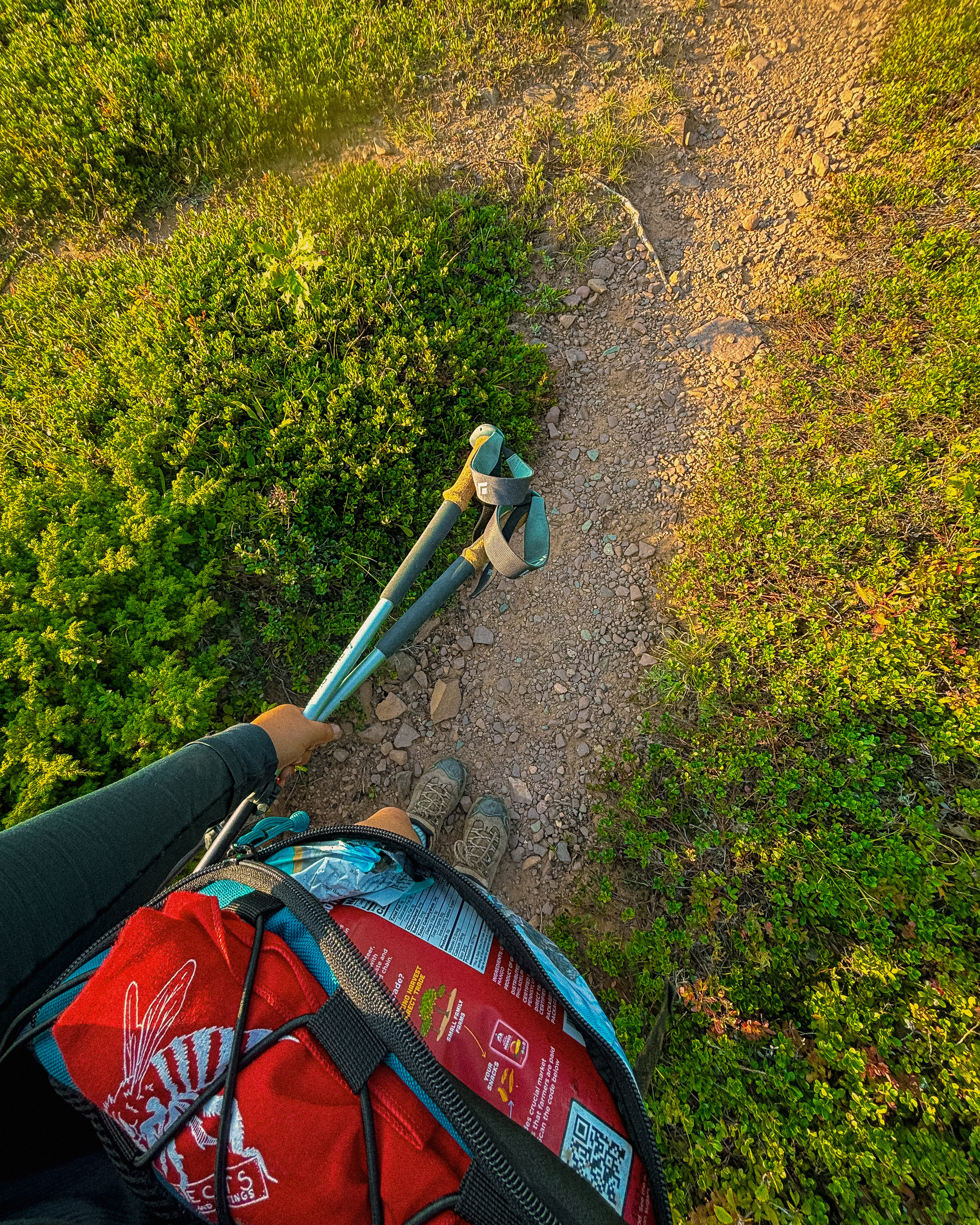 a hip pack and trekking poles with a hiker in the porcupine mountains, michigan.