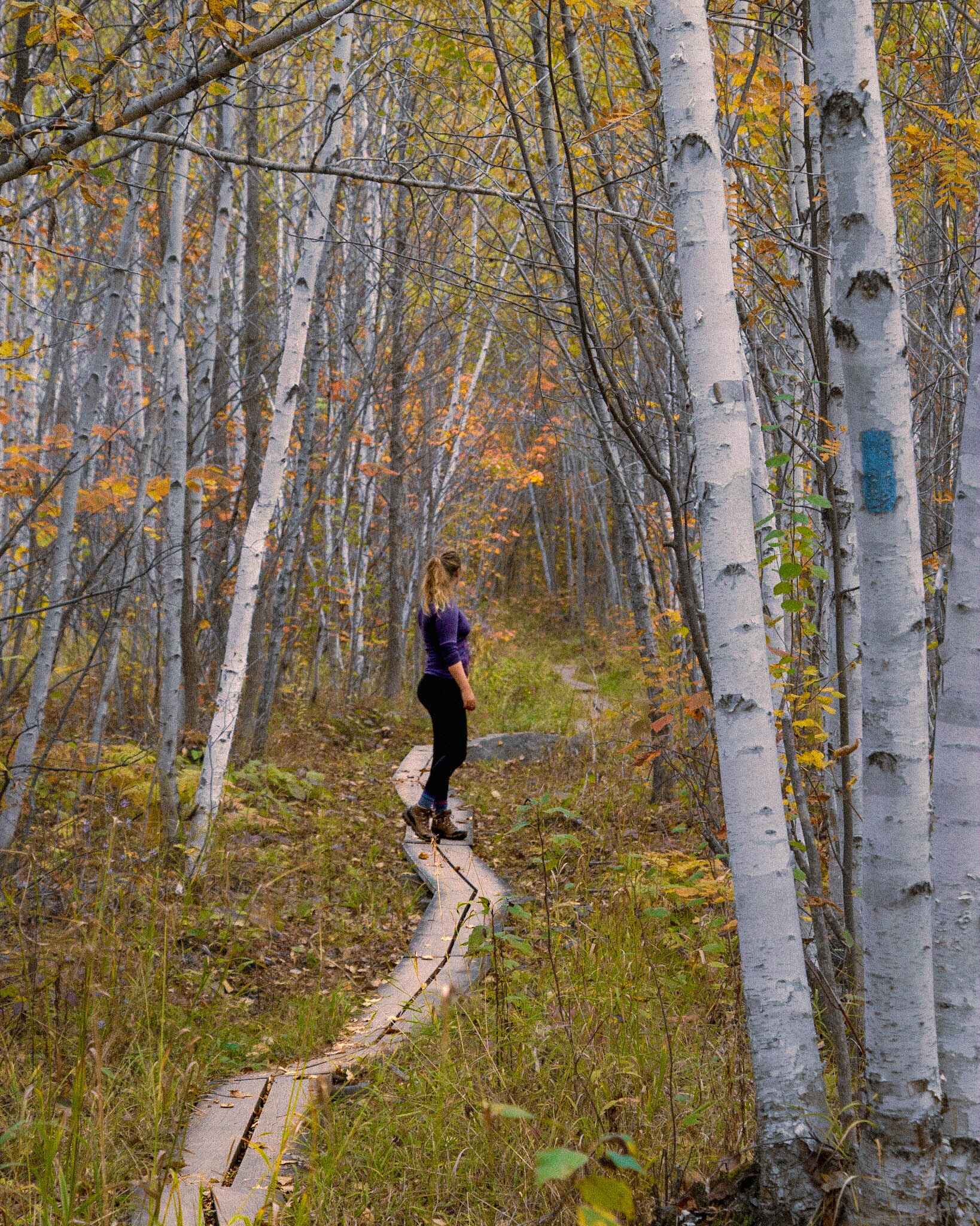 image of a hiker in baselayers standing on a path in the autumn woods 