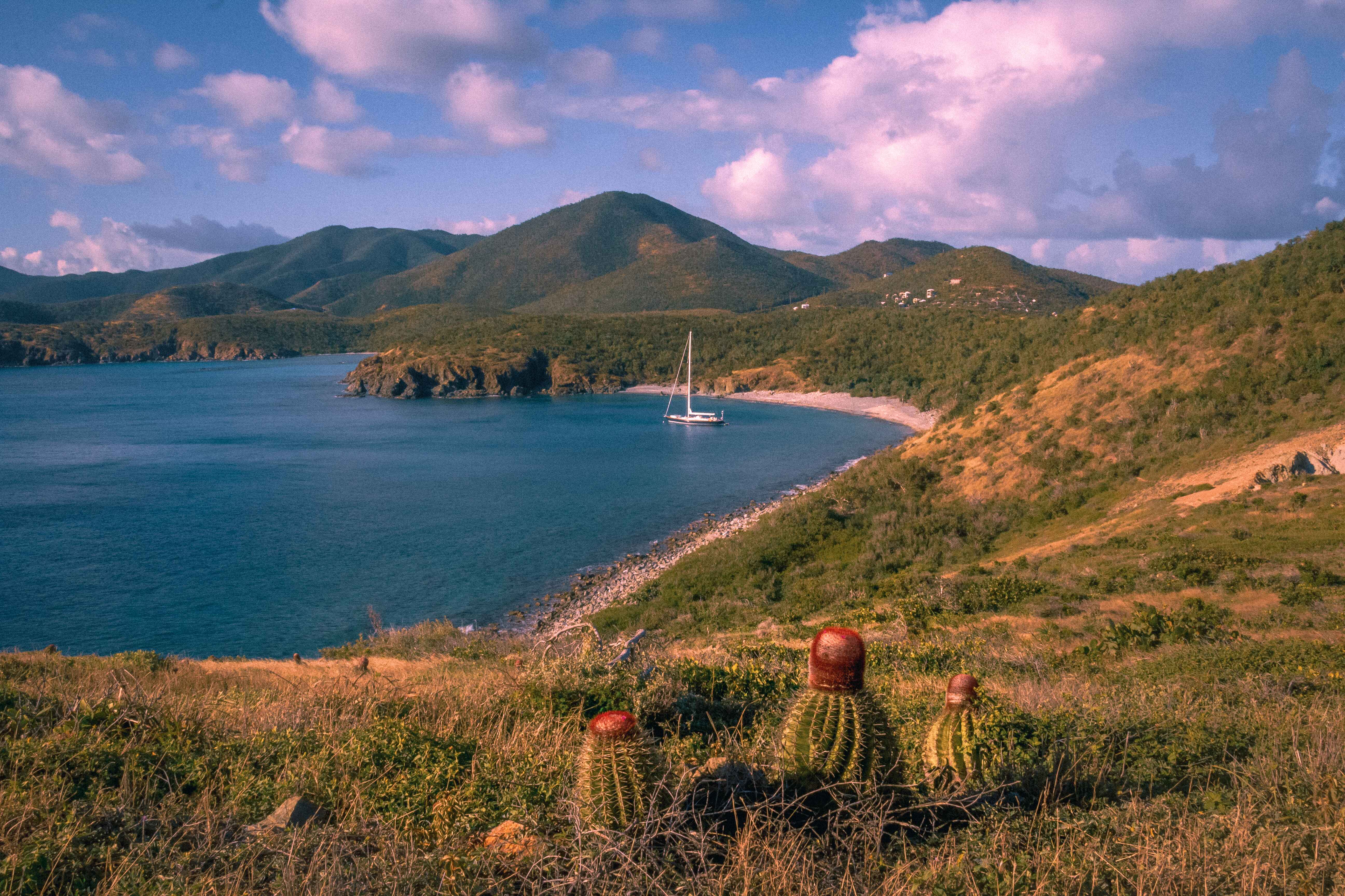 cactus in front of a scenic view on rams head hike, one of the best hiking trails in Virgin Islands National Park