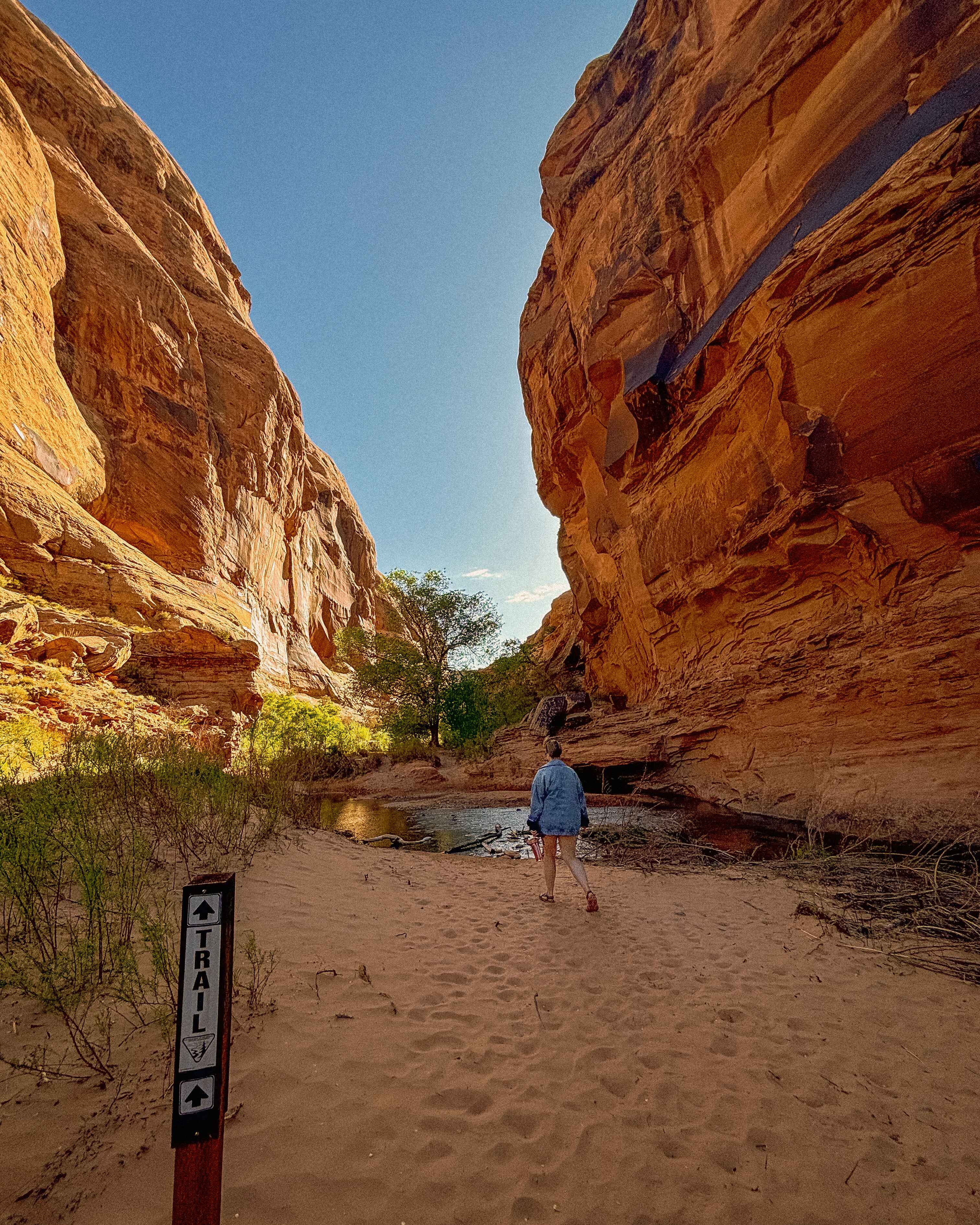 hiking Mill Creek near Moab