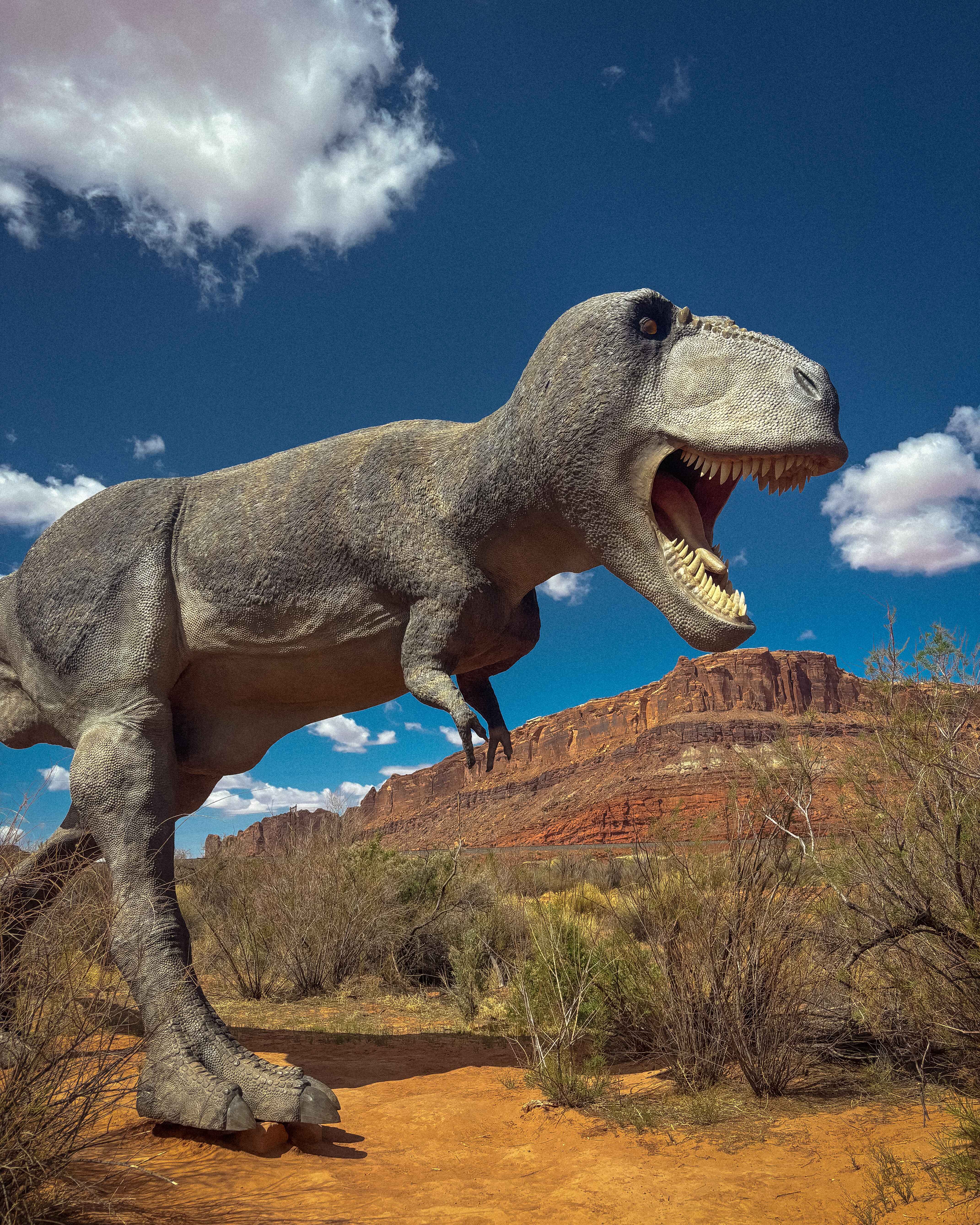 Dinosaur walk Moab Utah