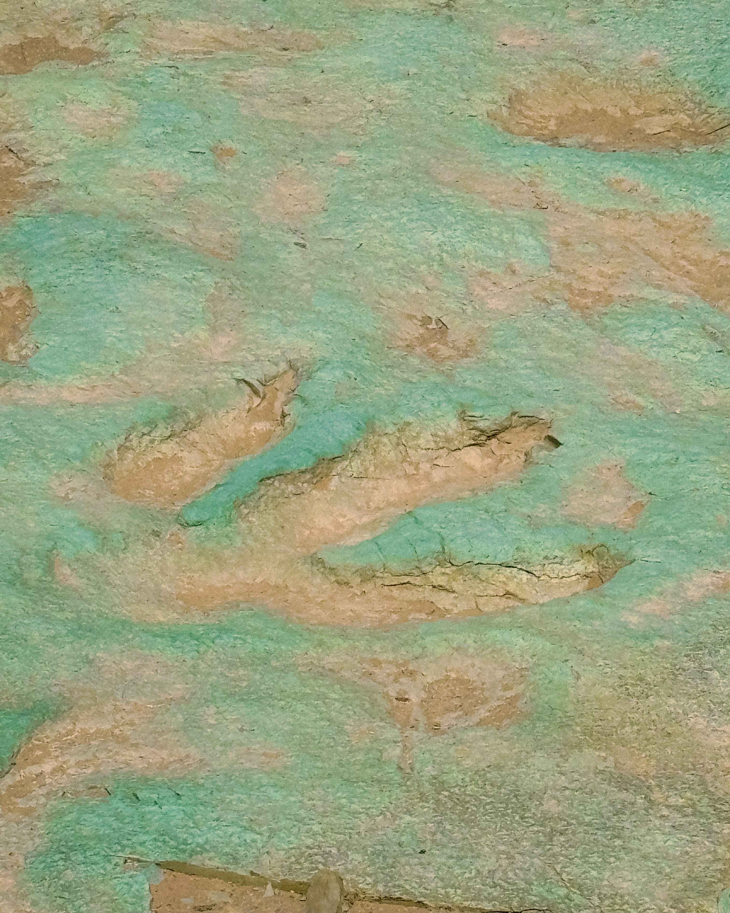 Dinosaur tracks to check out near Moab UT