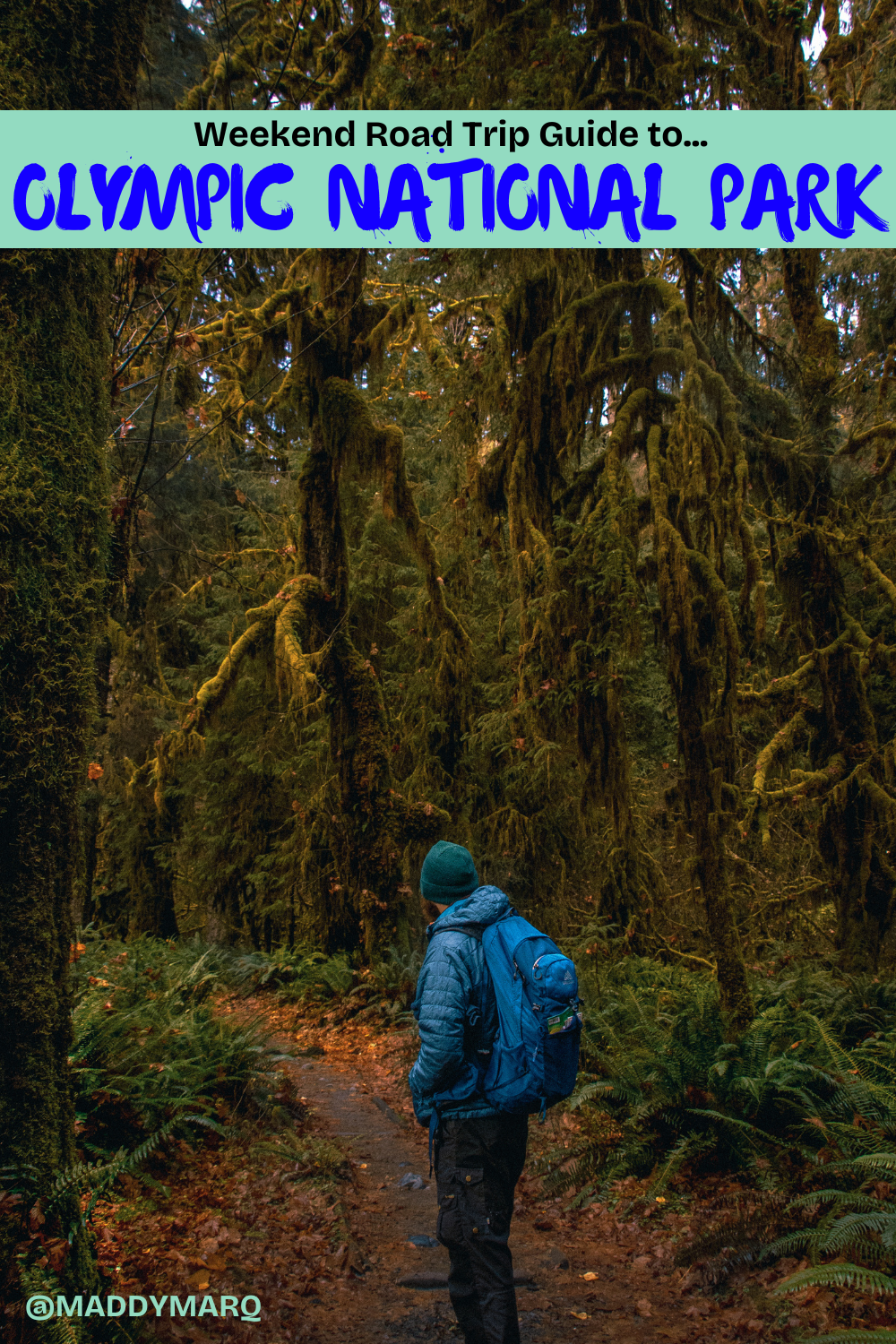 text "what to do on a weekend road trip in olympic national park" over image of a male hiker dressed head to toe in blue in the Hoh Rainforest